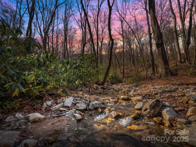000 Stafford Lane S, Mill Spring, NC, 28756