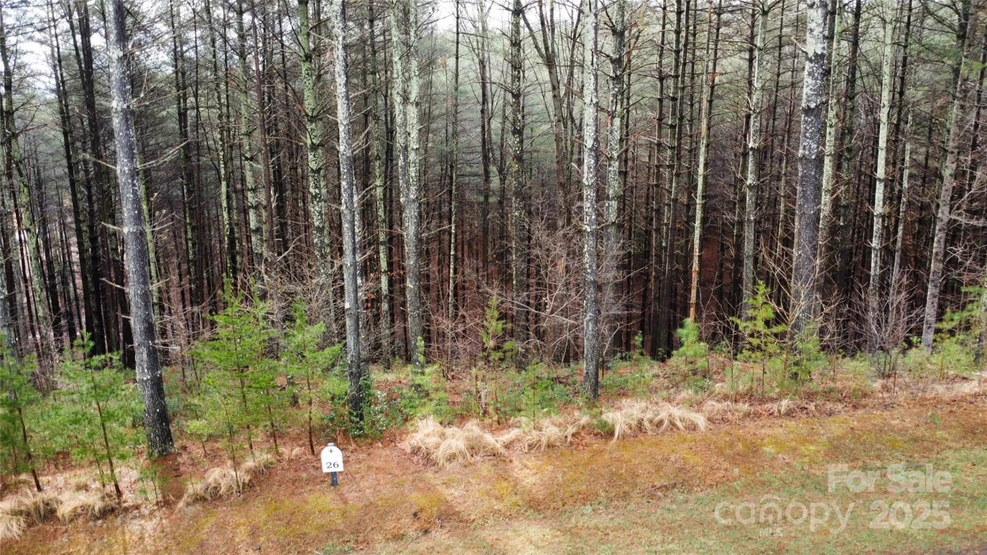 26 Peninsula Reserve Road #26 - Photo 10