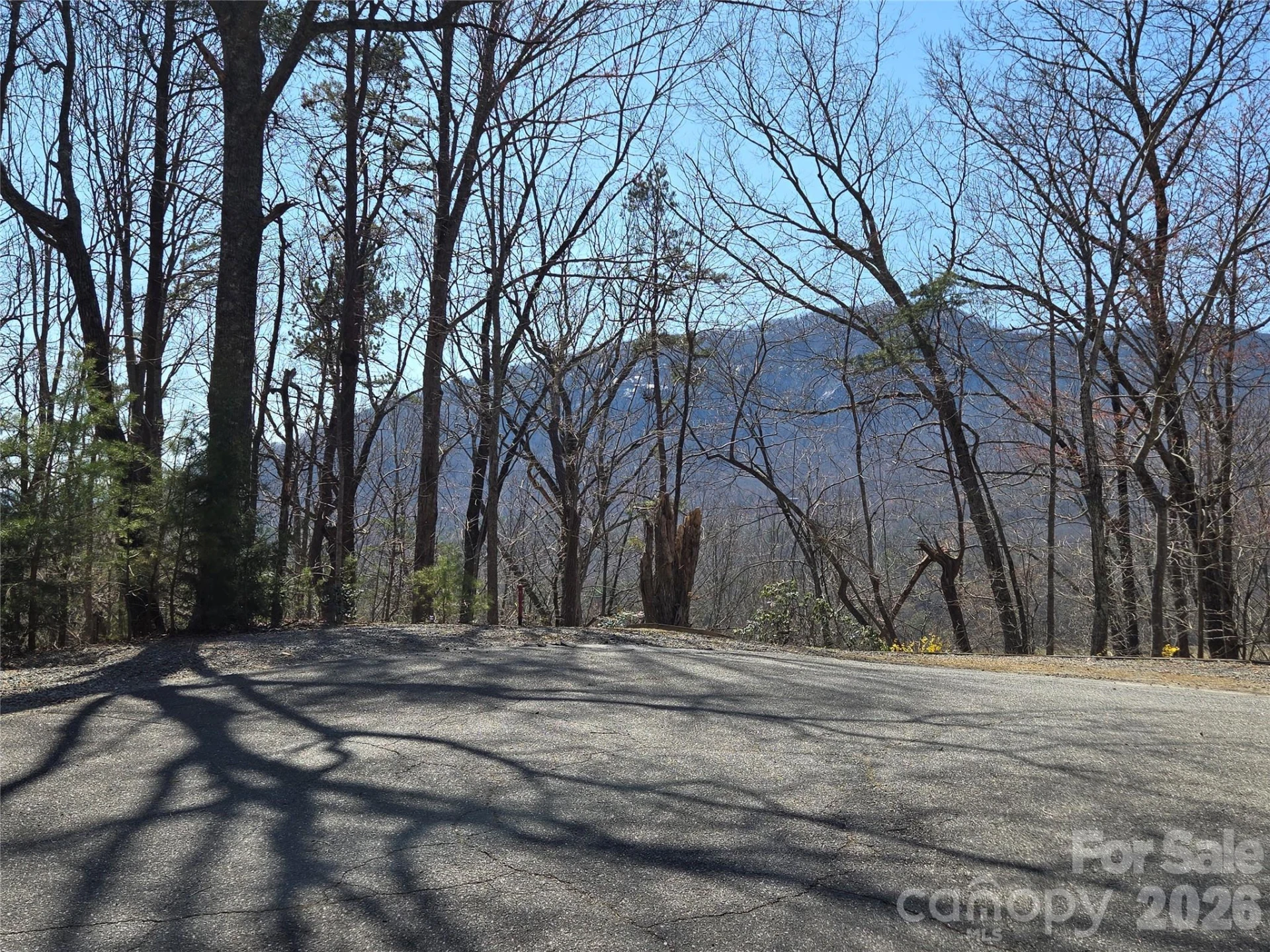 Lot 57 Banjo Court - Photo 4