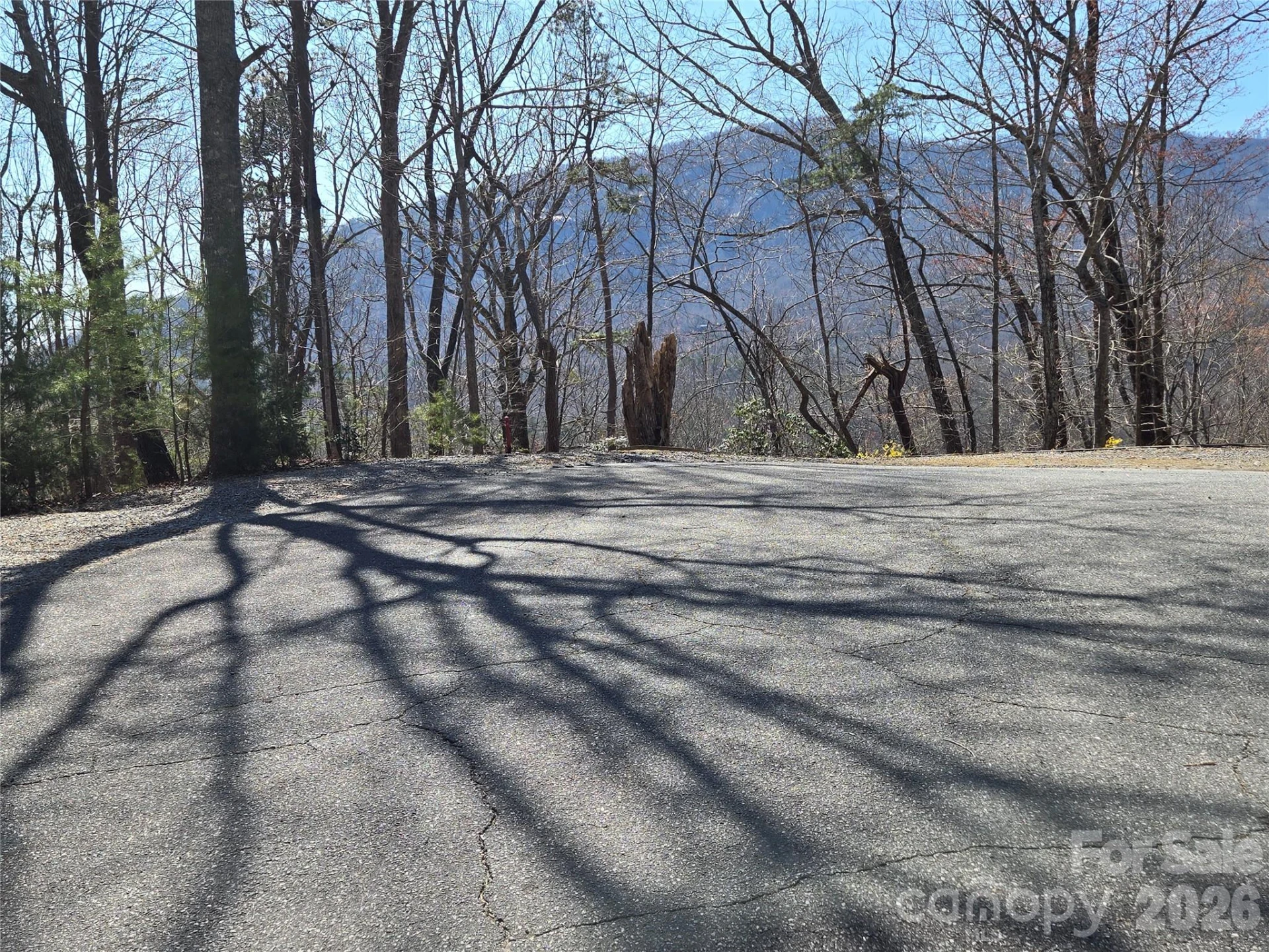 Lot 57 Banjo Court - Photo 5