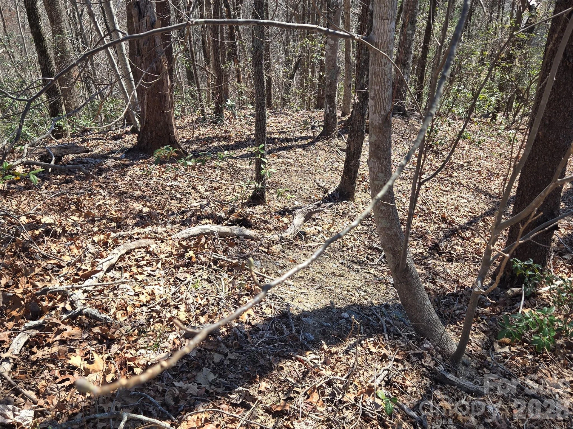 Lot 57 Banjo Court - Photo 7
