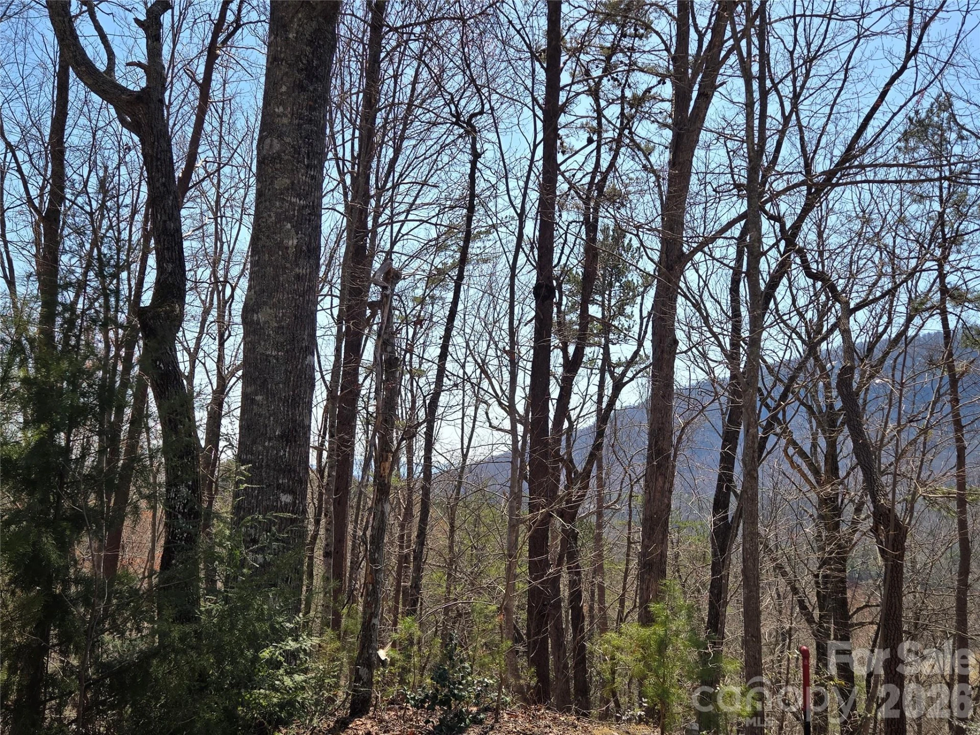 Lot 57 Banjo Court - Photo 8