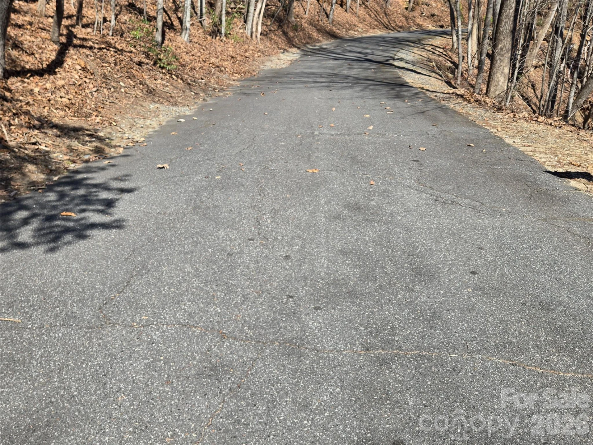 Lot 57 Banjo Court - Photo 10