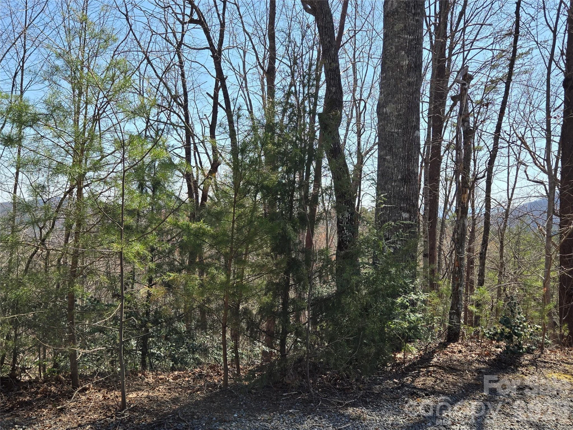 Lot 57 Banjo Court - Photo 11