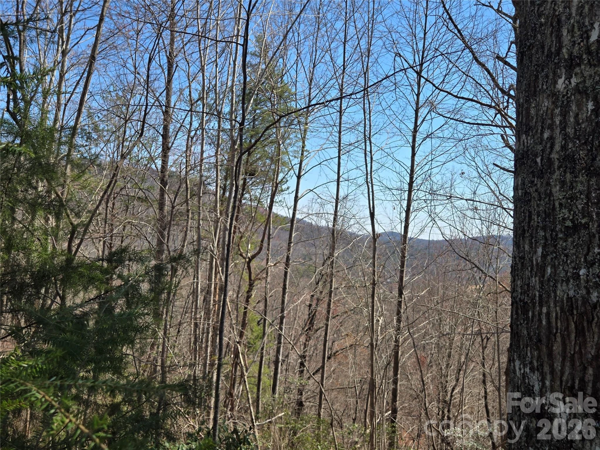 Lot 57 Banjo Court - Photo 12