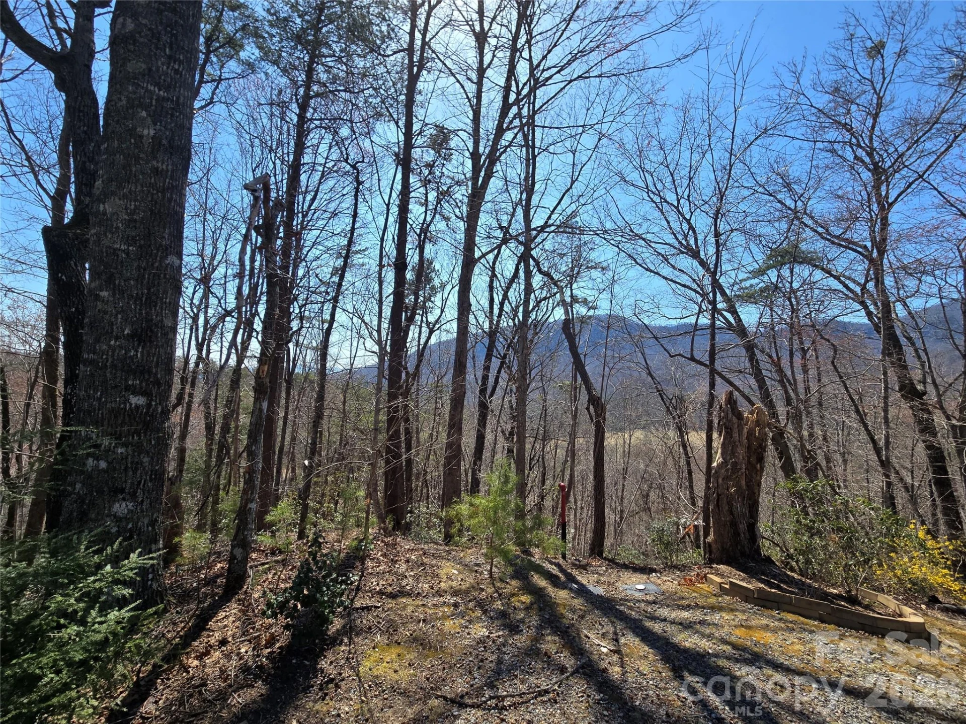 Lot 57 Banjo Court - Photo 13