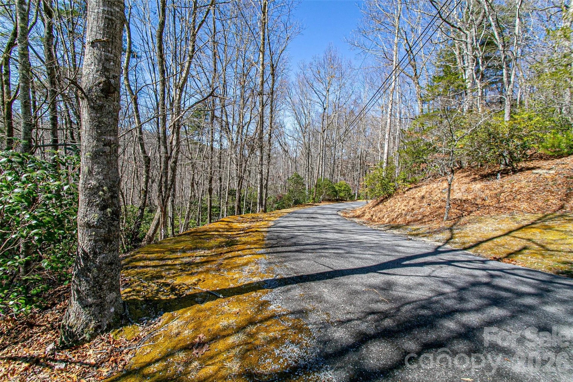 TBD Still Branch Road #L20 - Photo 11
