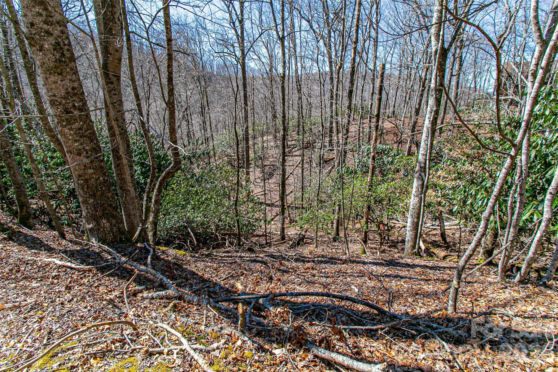 TBD Still Branch Road #L20 - Photo 17