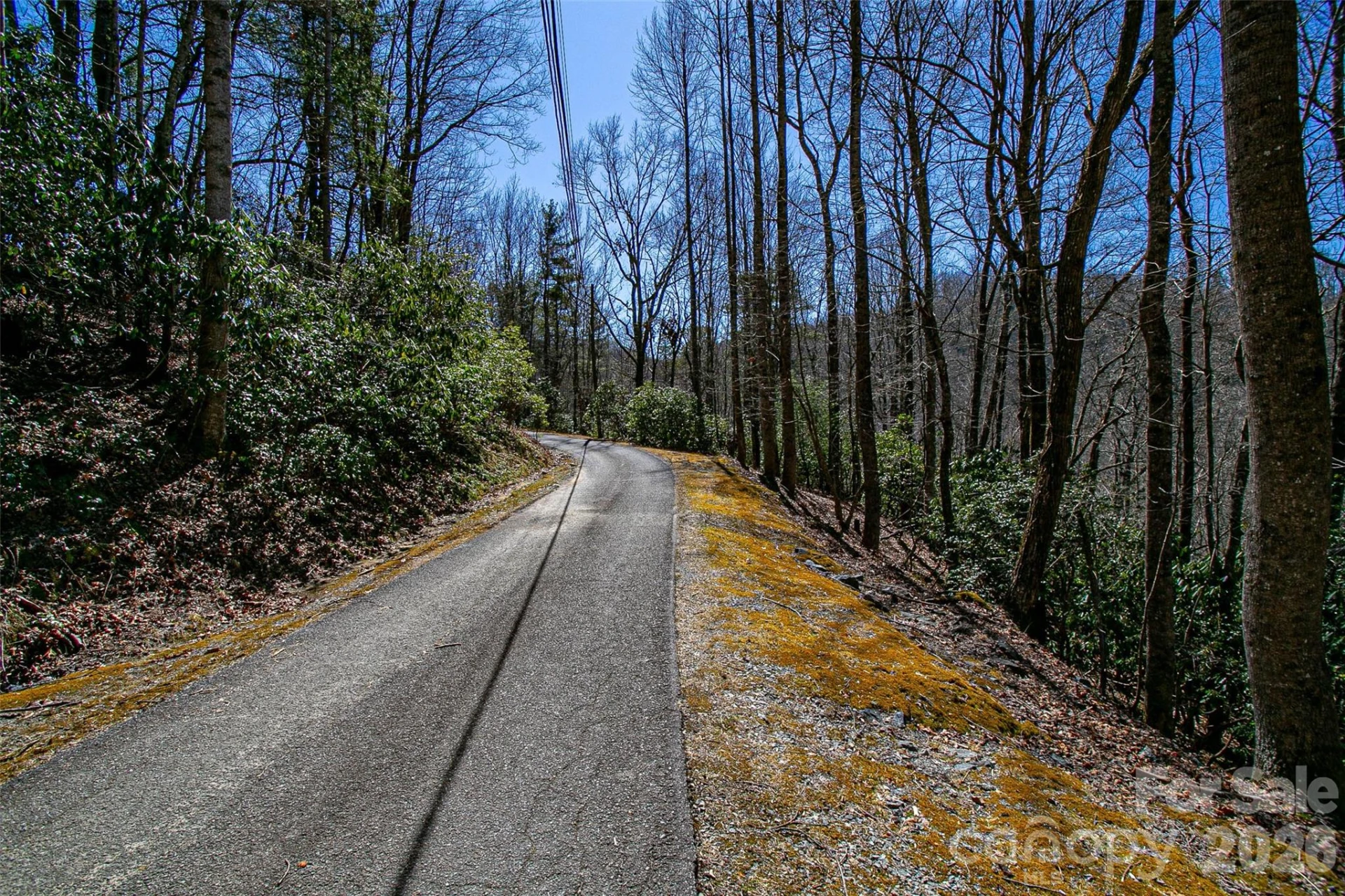 TBD Still Branch Road #L20 - Photo 18