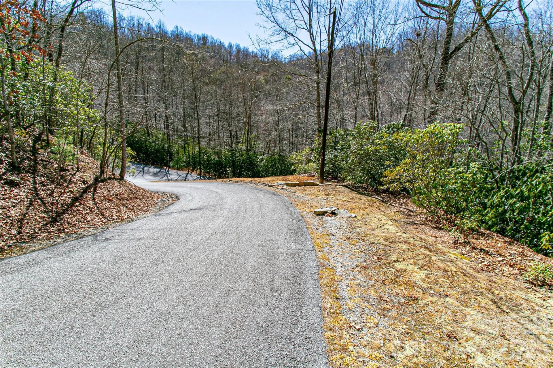 TBD Still Branch Road #L20 - Photo 20