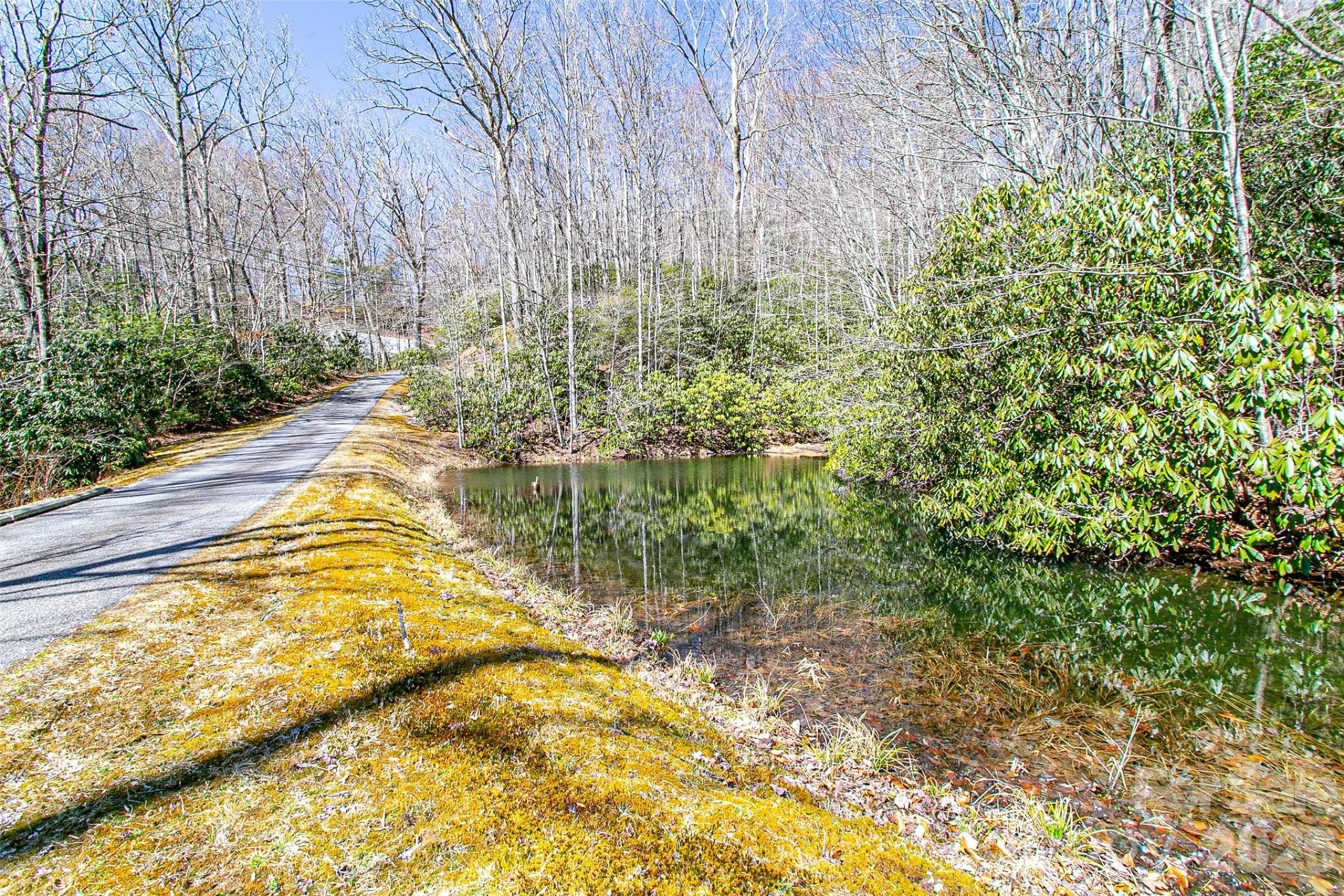 TBD Still Branch Road #L20 - Photo 3