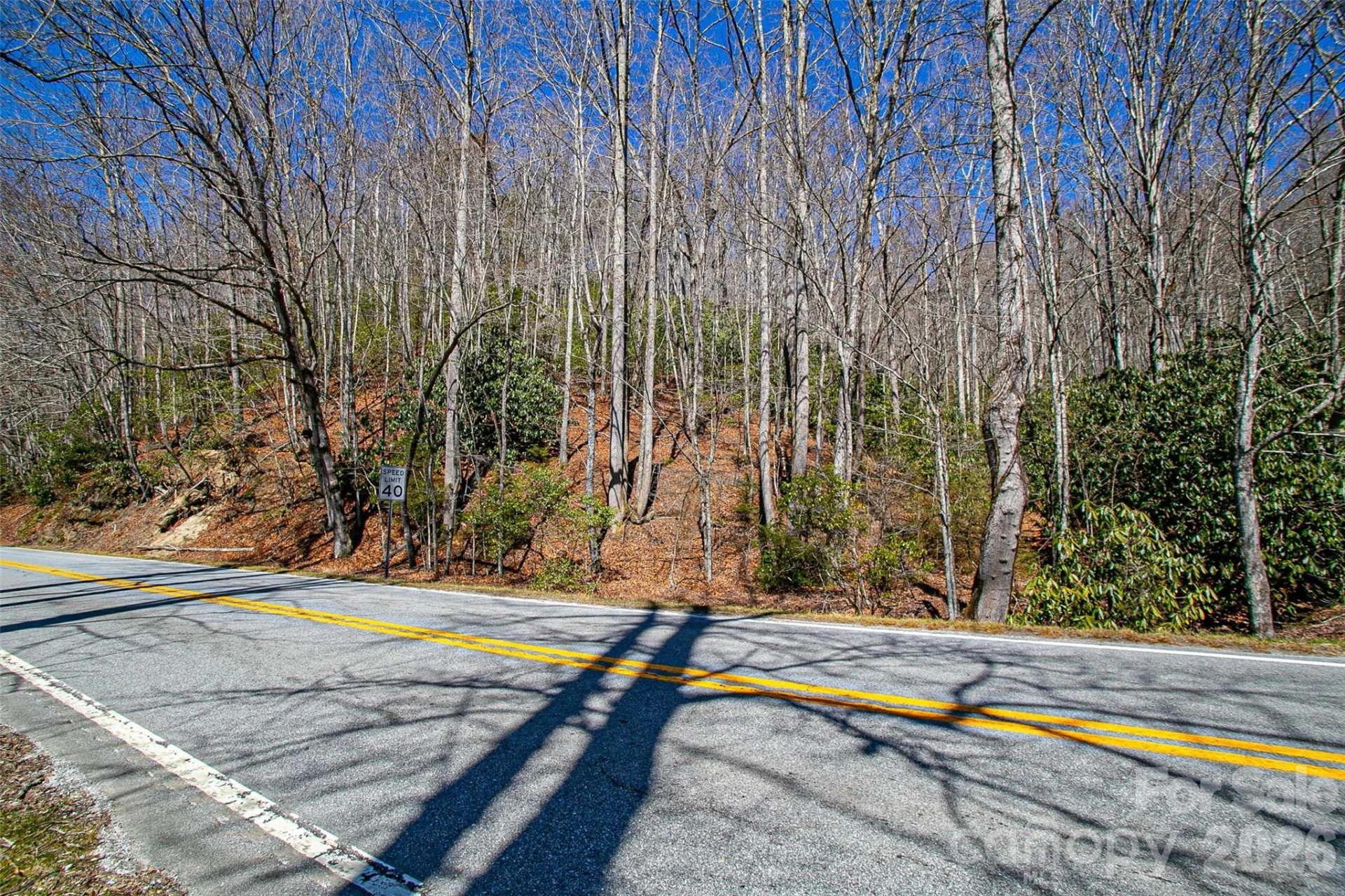 TBD Still Branch Road #L20 - Photo 22