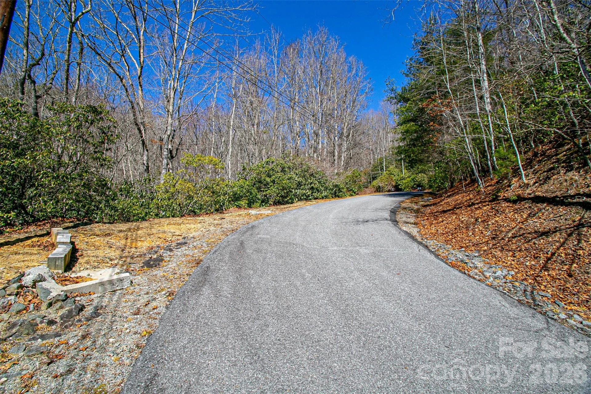 TBD Still Branch Road #L20 - Photo 23