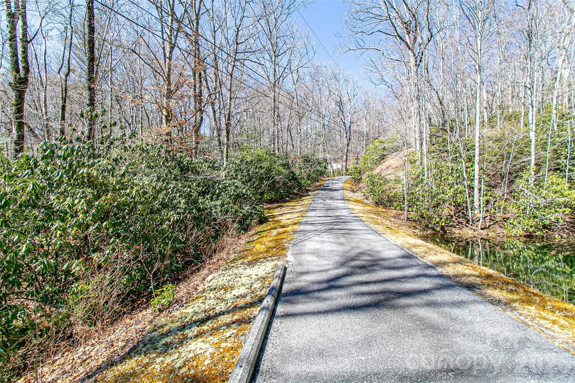 TBD Still Branch Road #L20 - Photo 24