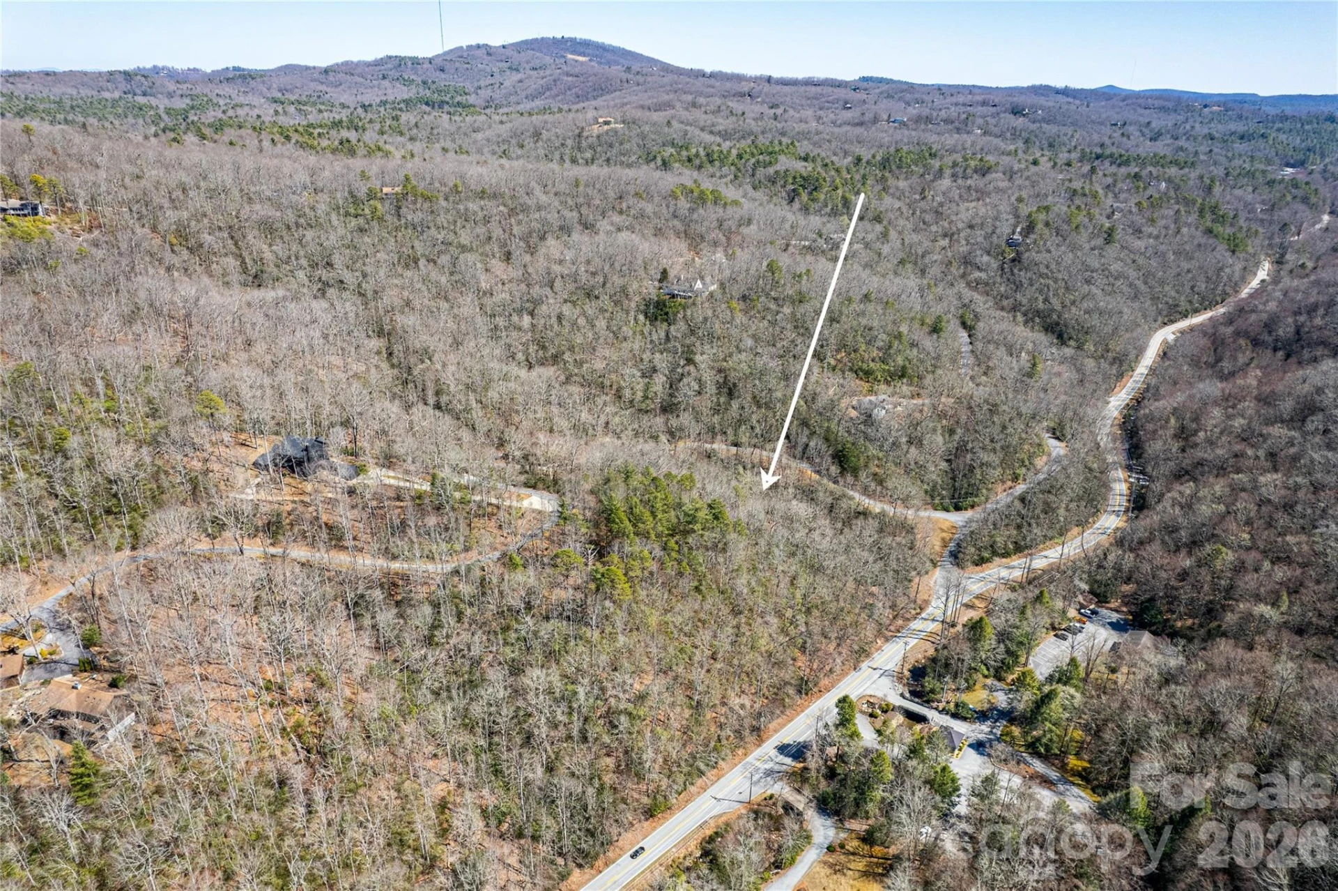 TBD Still Branch Road #L20 - Photo 7
