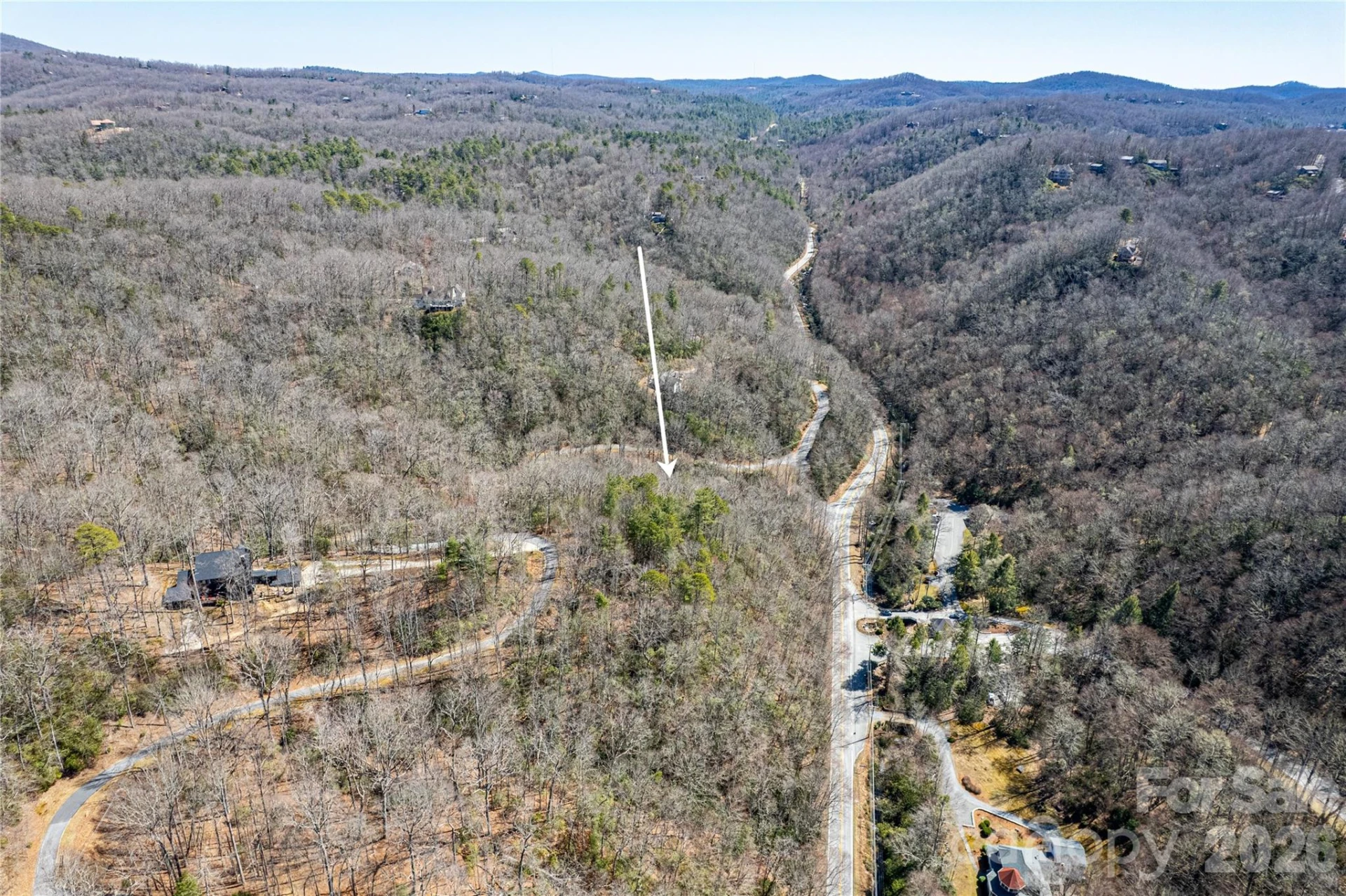 TBD Still Branch Road #L20 - Photo 8