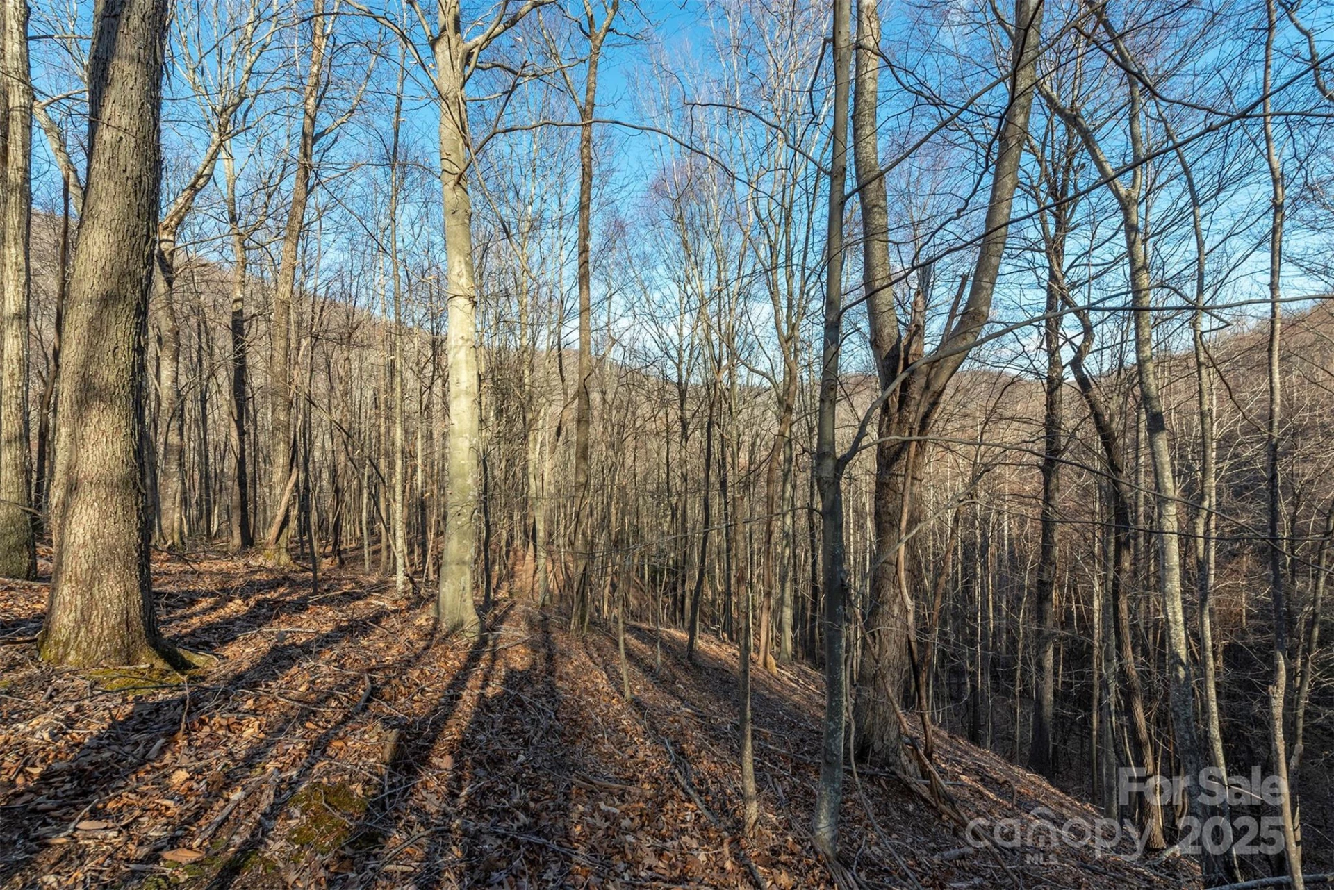 885 Stoney Stream Lane - Photo 9