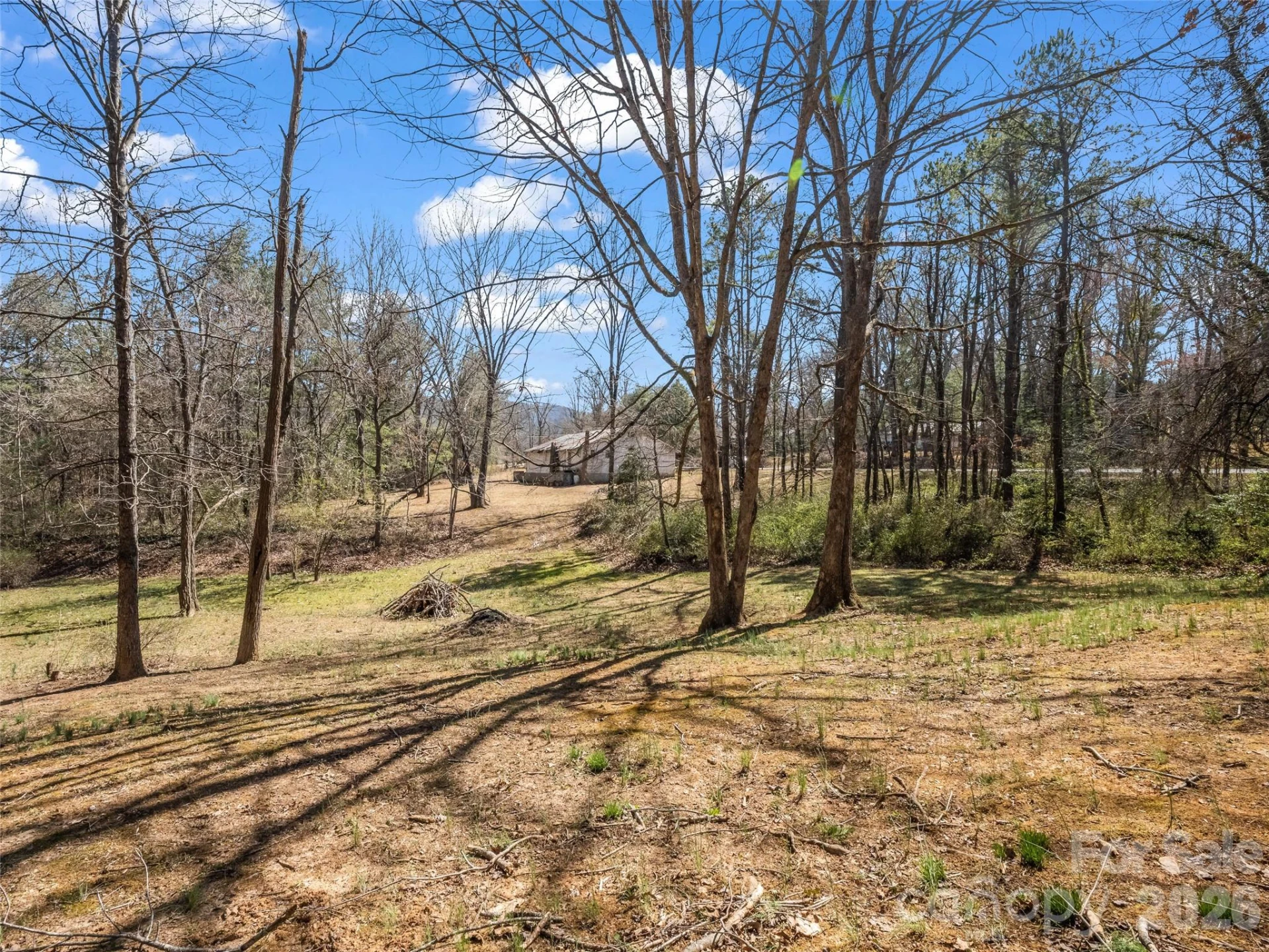 156 Warren Wilson Road - Photo 2