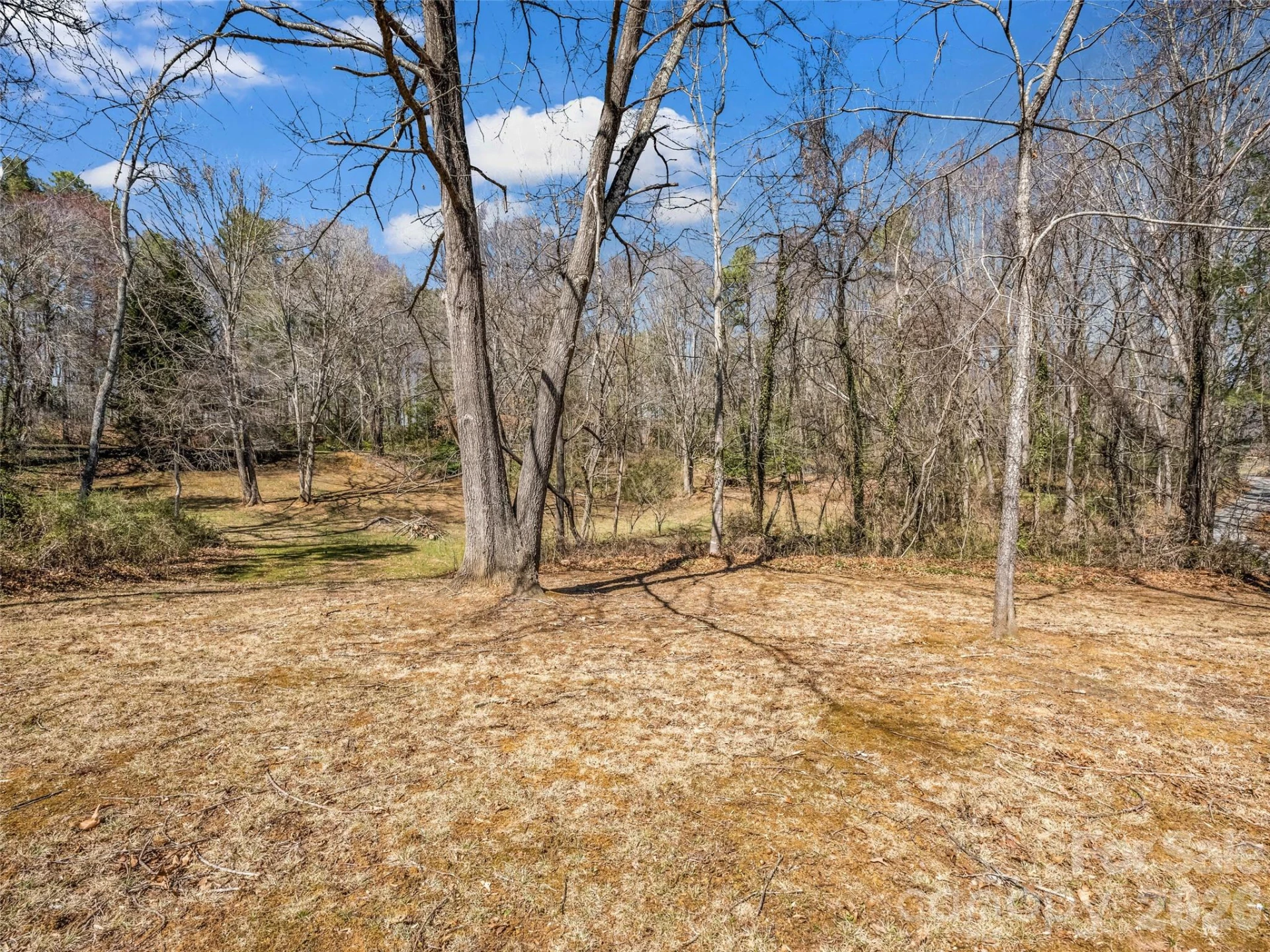156 Warren Wilson Road - Photo 11