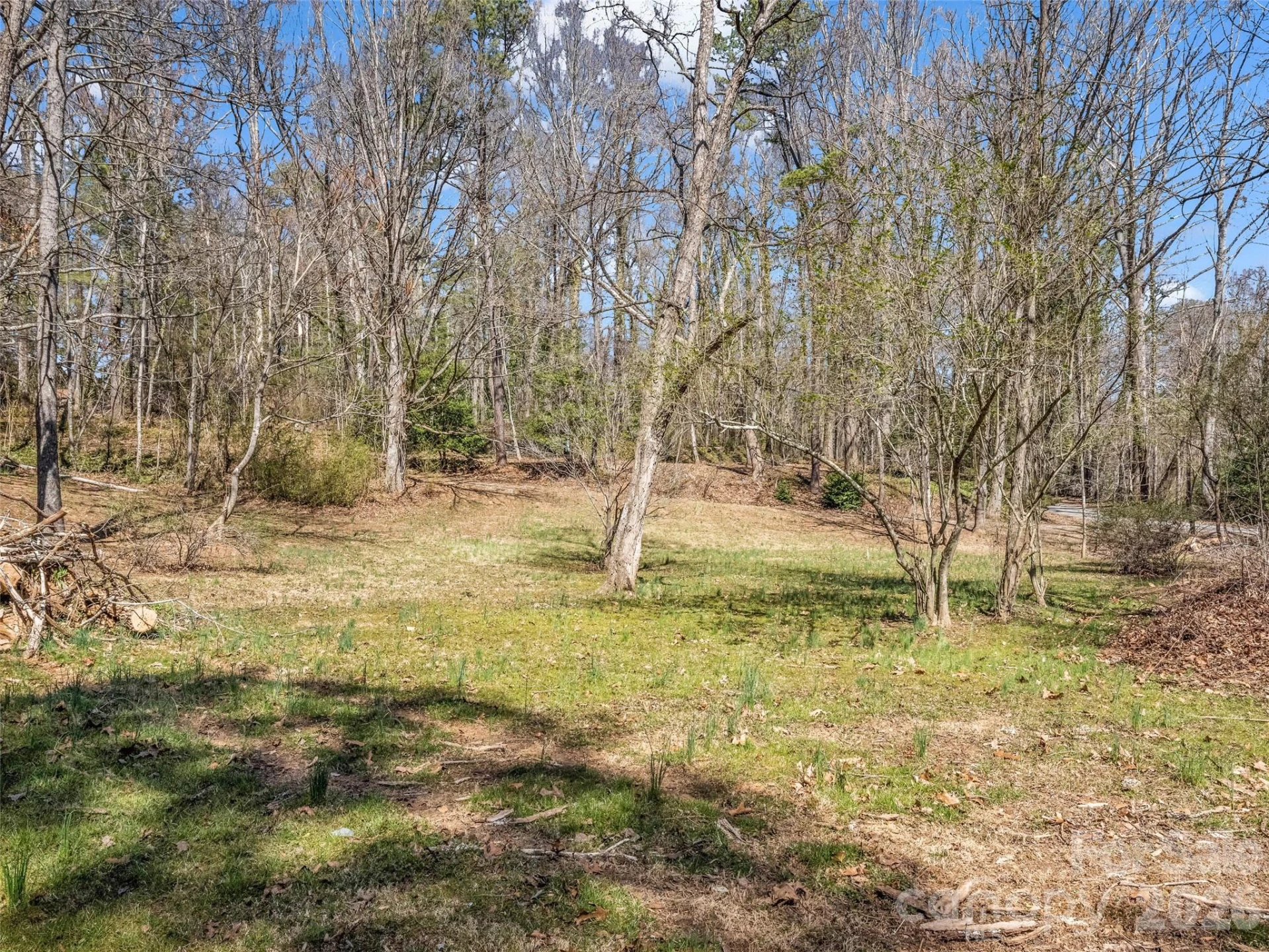 156 Warren Wilson Road - Photo 13