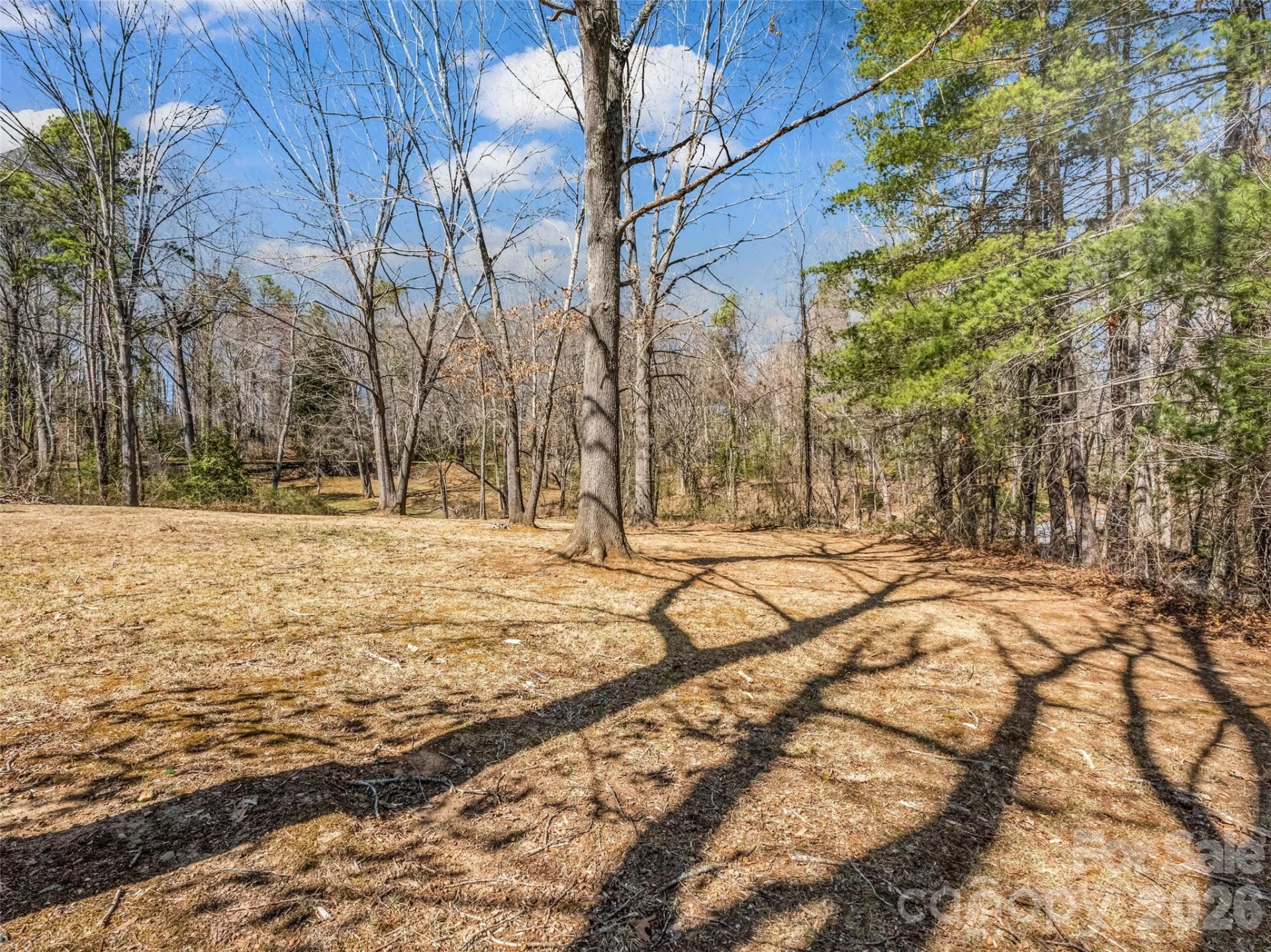 156 Warren Wilson Road - Photo 3