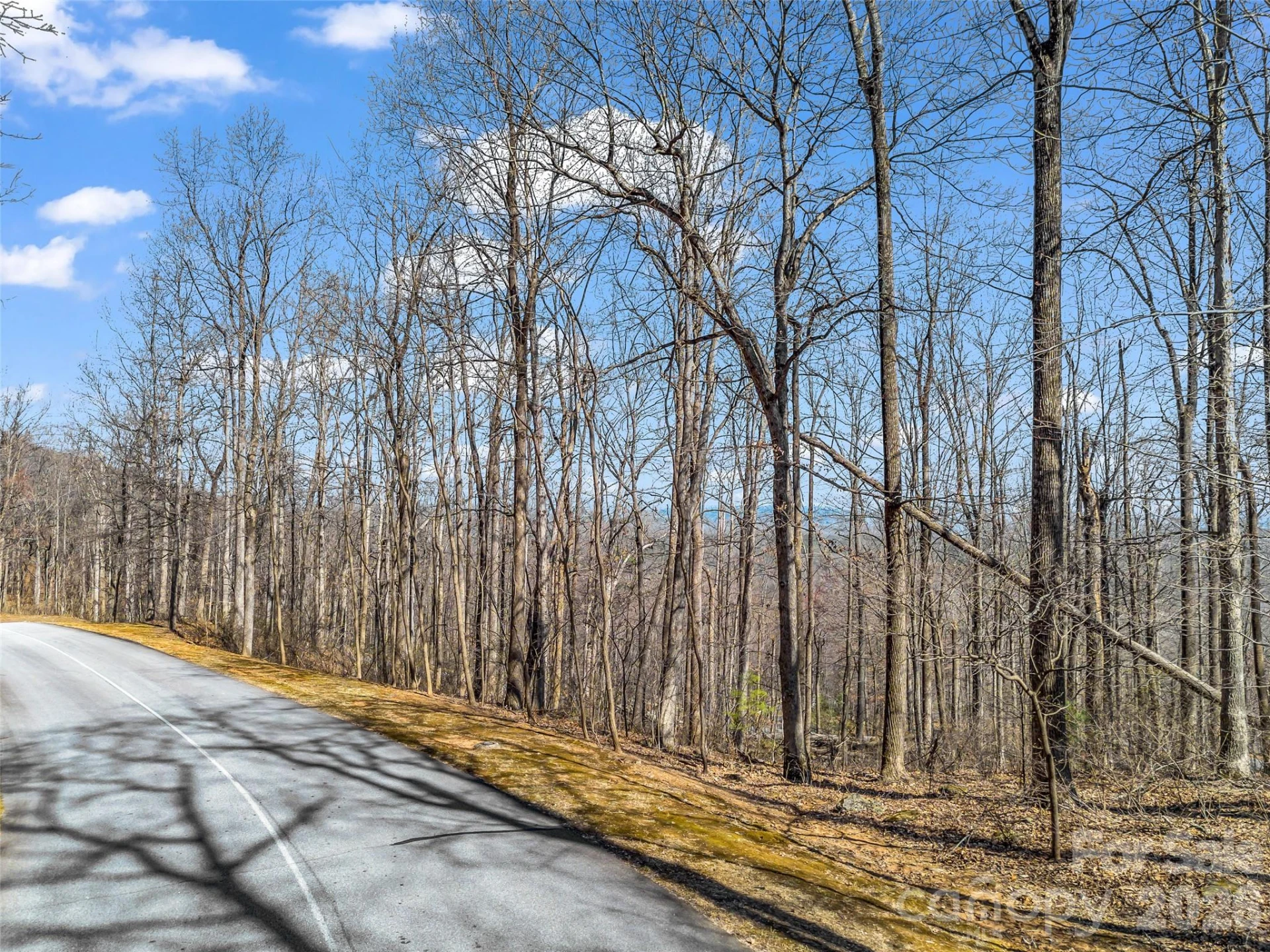183 Chesterfield Drive #183 - Photo 5