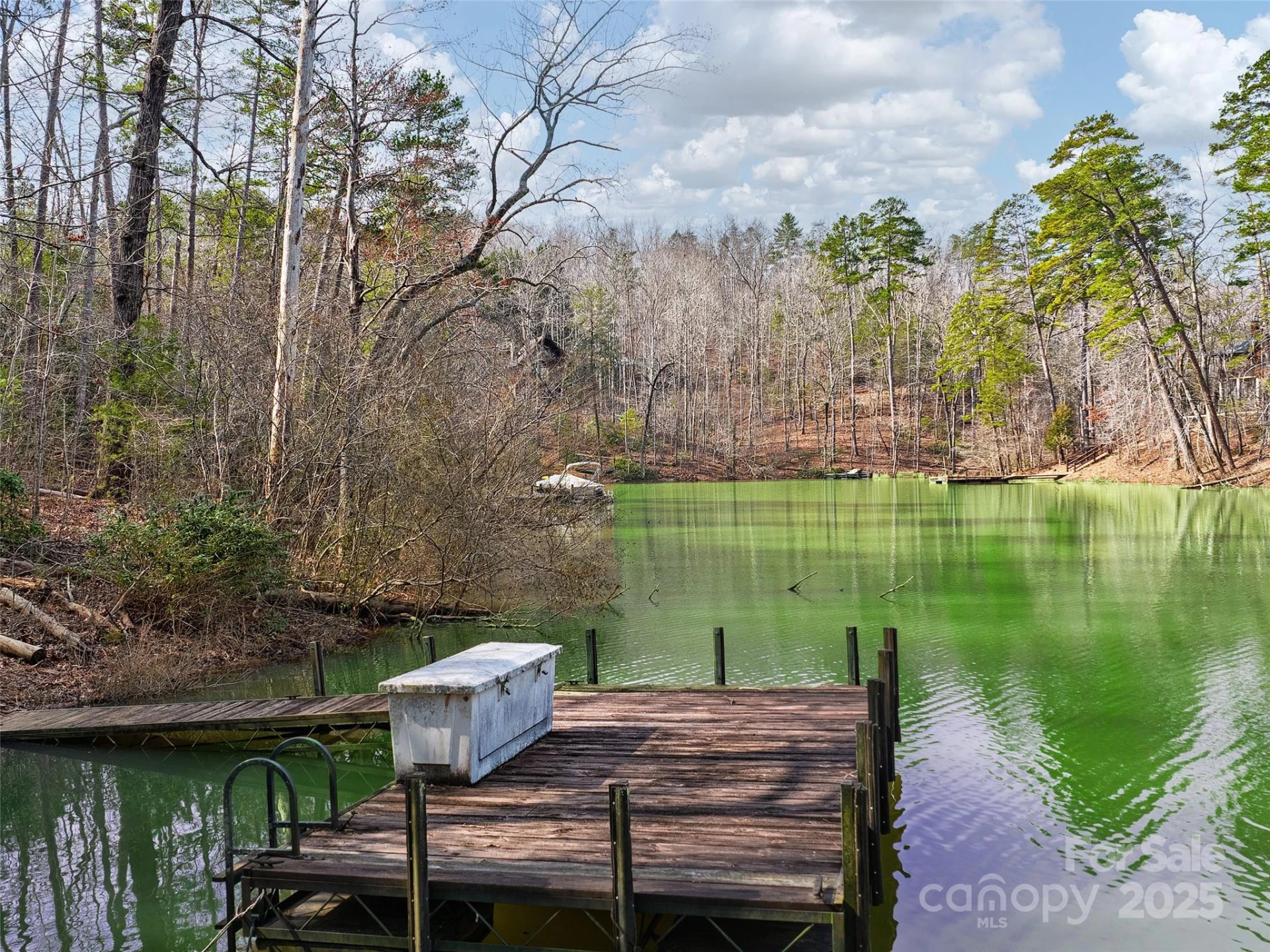 Lot 27 South Cove Road - Photo 2