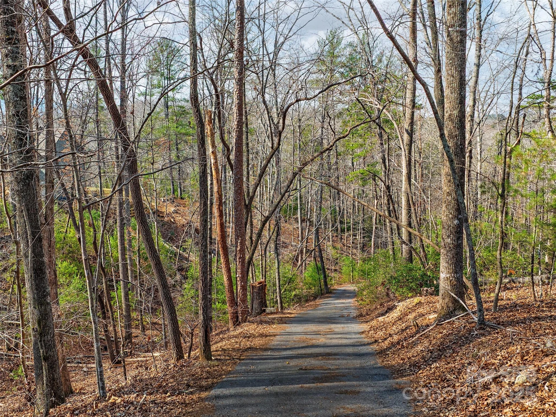 Lot 27 South Cove Road - Photo 11
