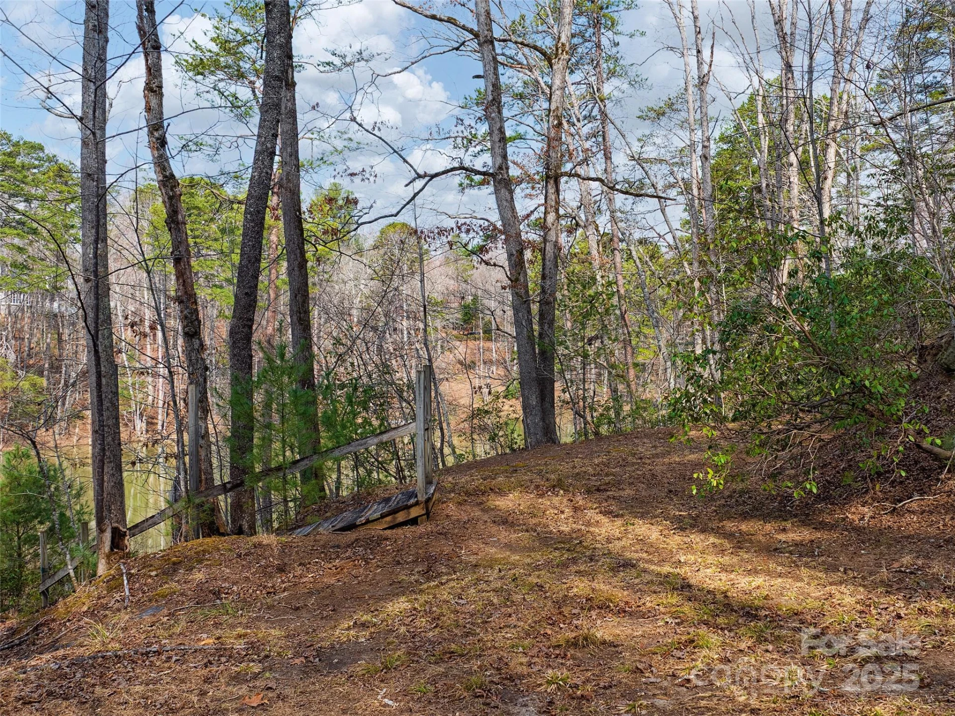 Lot 27 South Cove Road - Photo 4