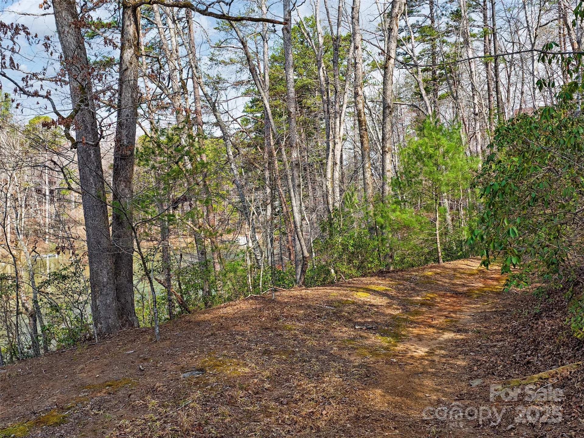Lot 27 South Cove Road - Photo 5