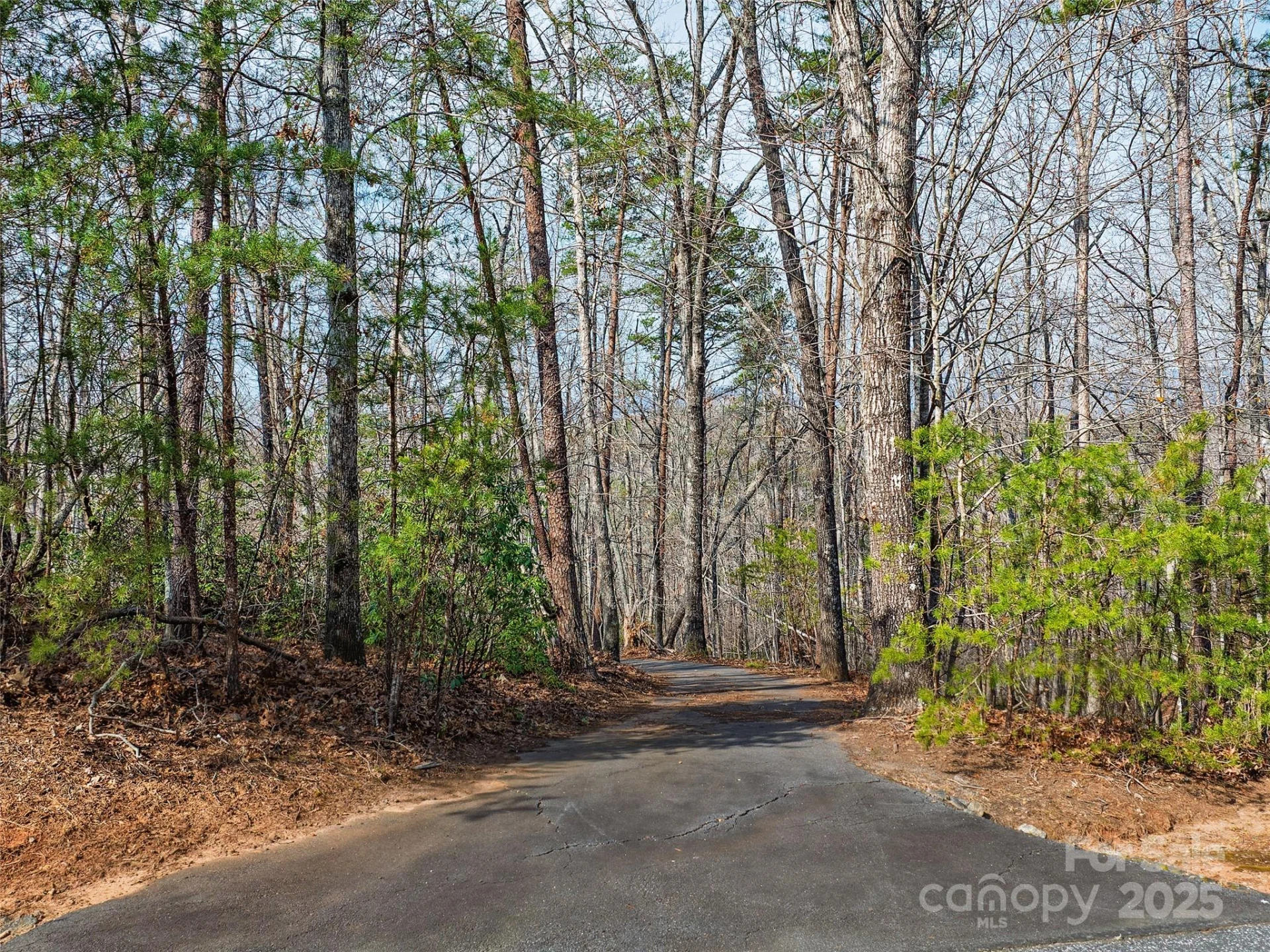 Lot 27 South Cove Road - Photo 10