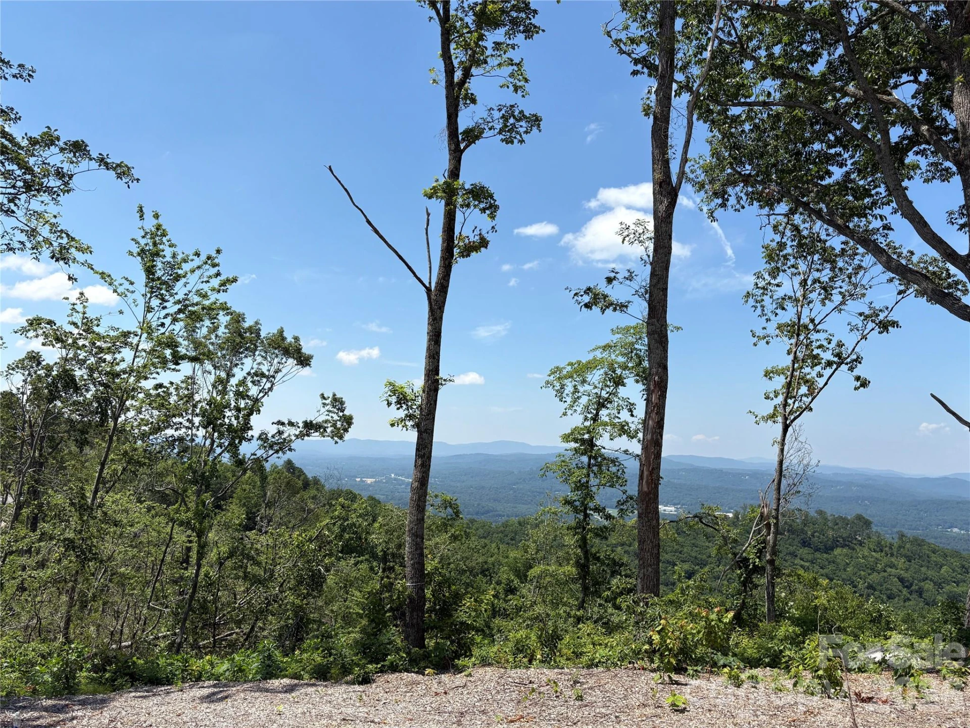 Lot 50 Mountain Grove Lane #50 - Photo 3