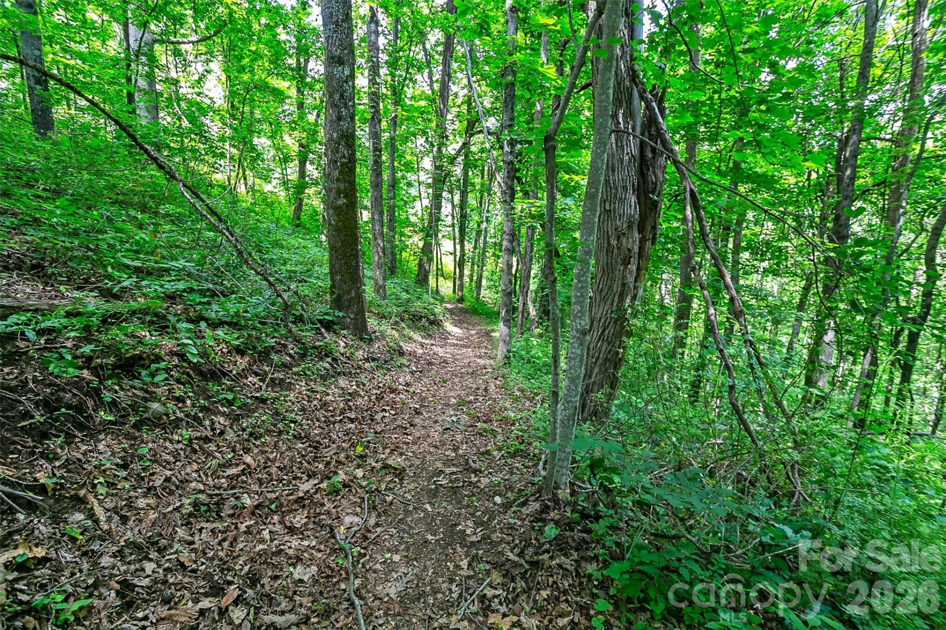 Lot 50 Mountain Grove Lane #50 - Photo 32