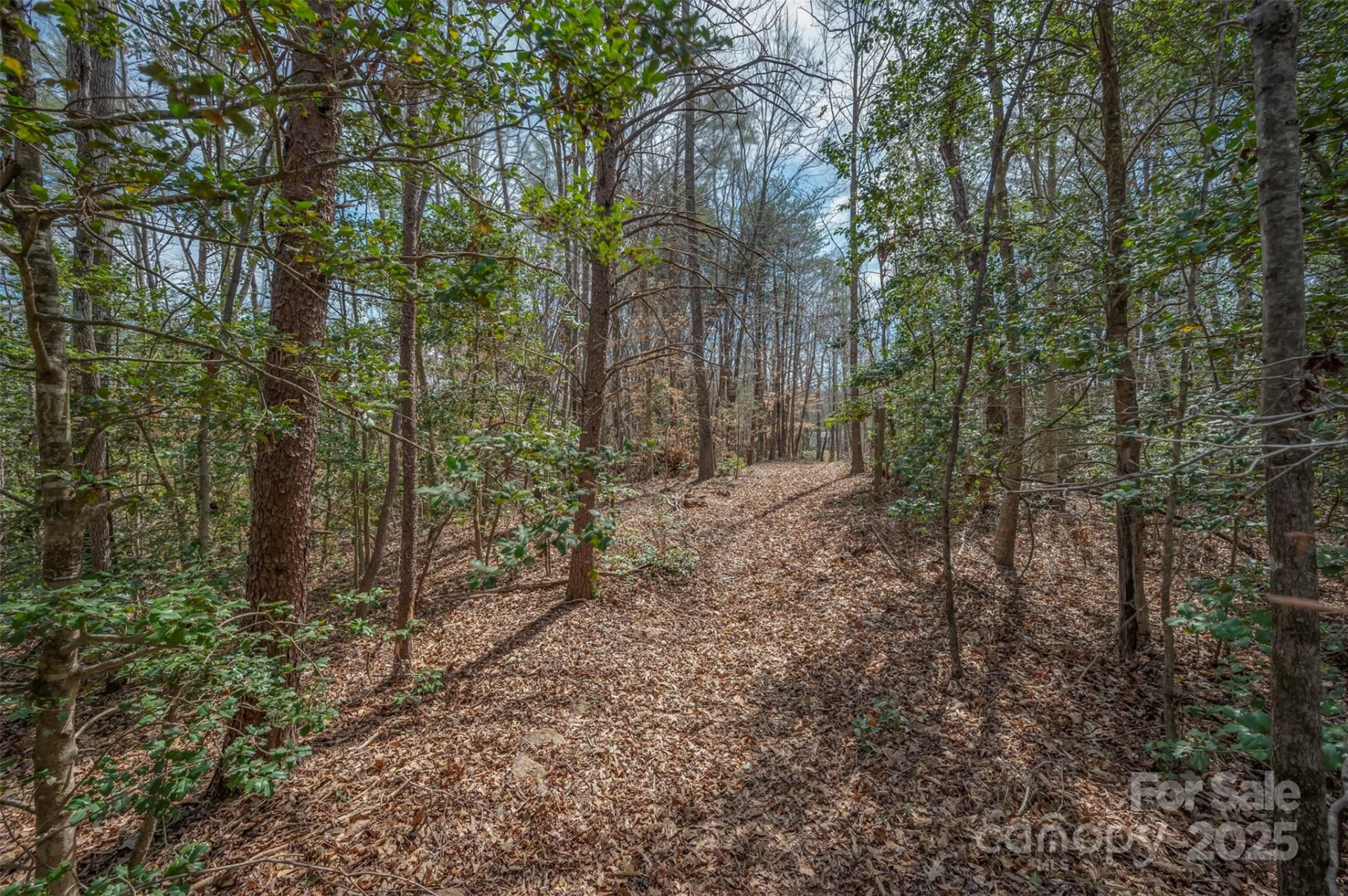 582 County Line Road - Photo 21
