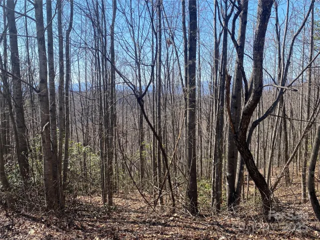 Lot 72 Mountain Crest Drive S