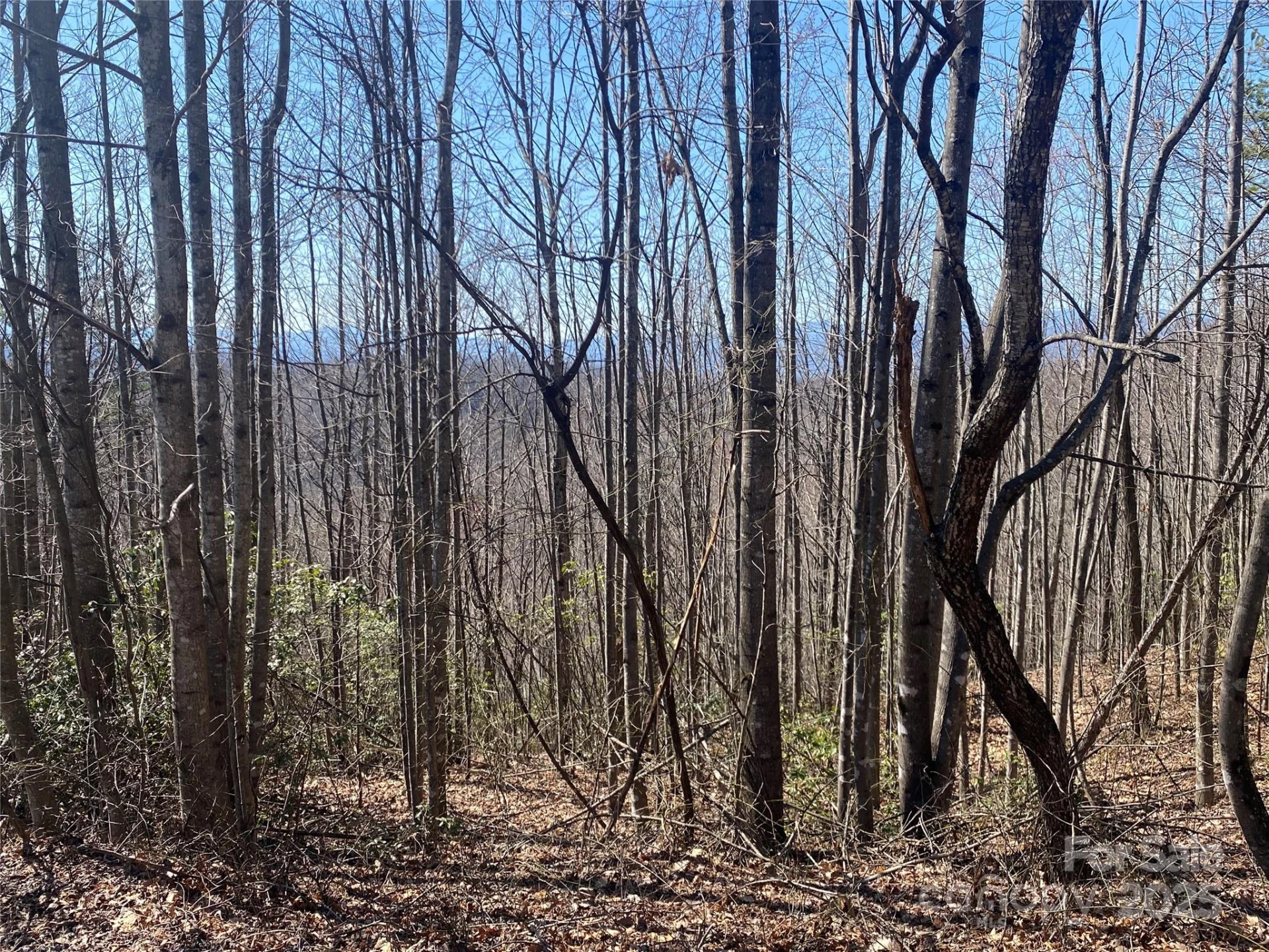 Lot 72 Mountain Crest Drive S