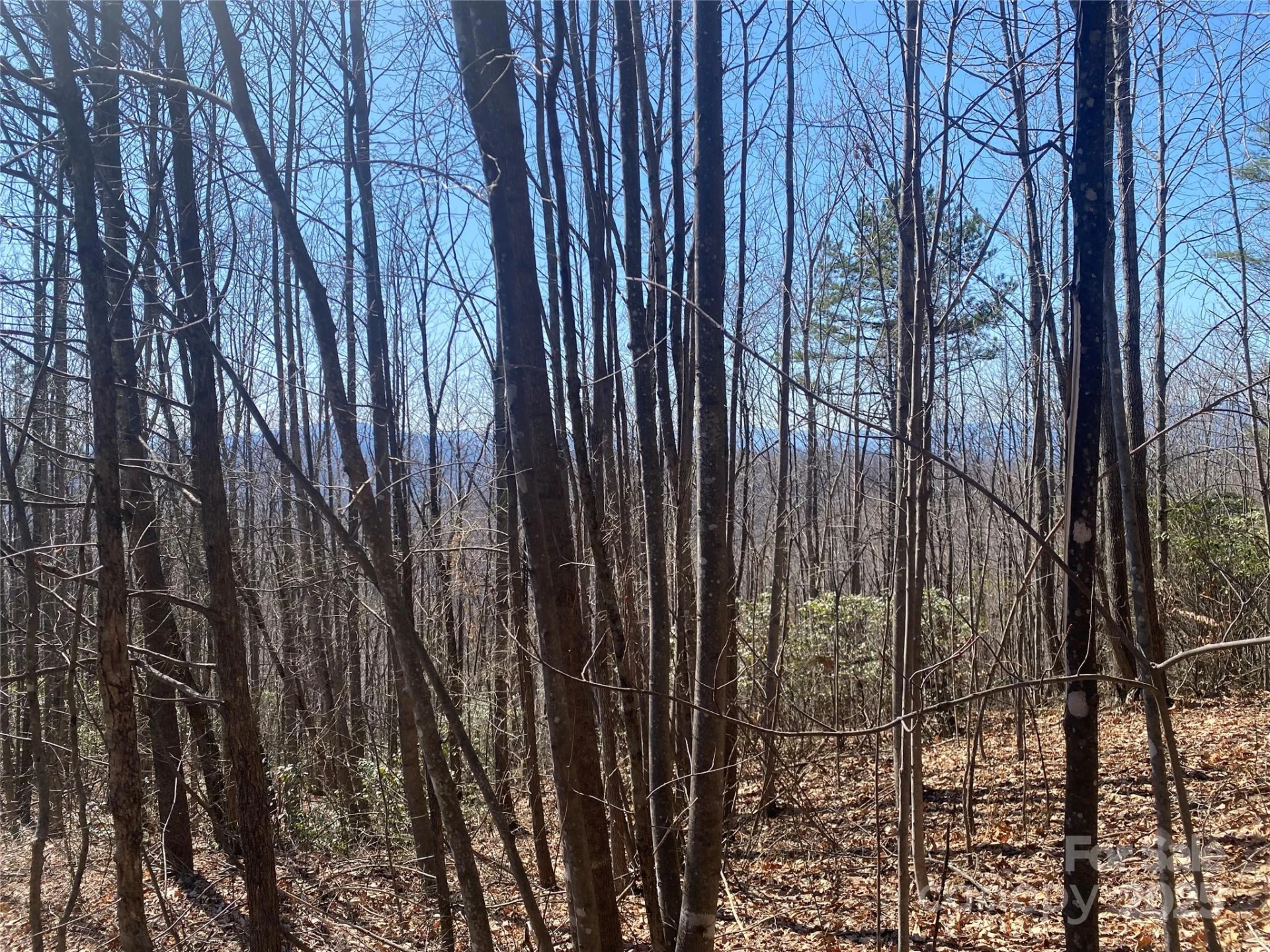 Lot 72 Mountain Crest Drive S - Photo 2