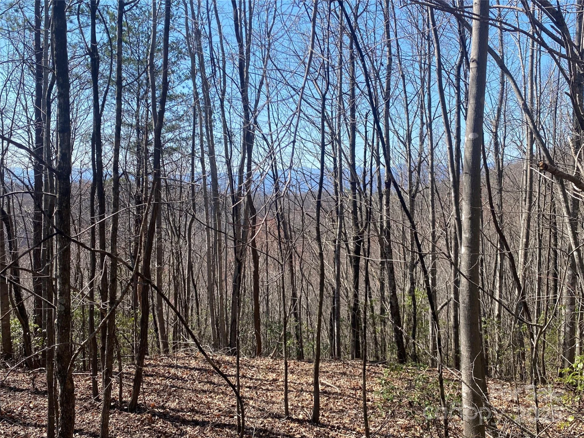 Lot 72 Mountain Crest Drive S - Photo 3