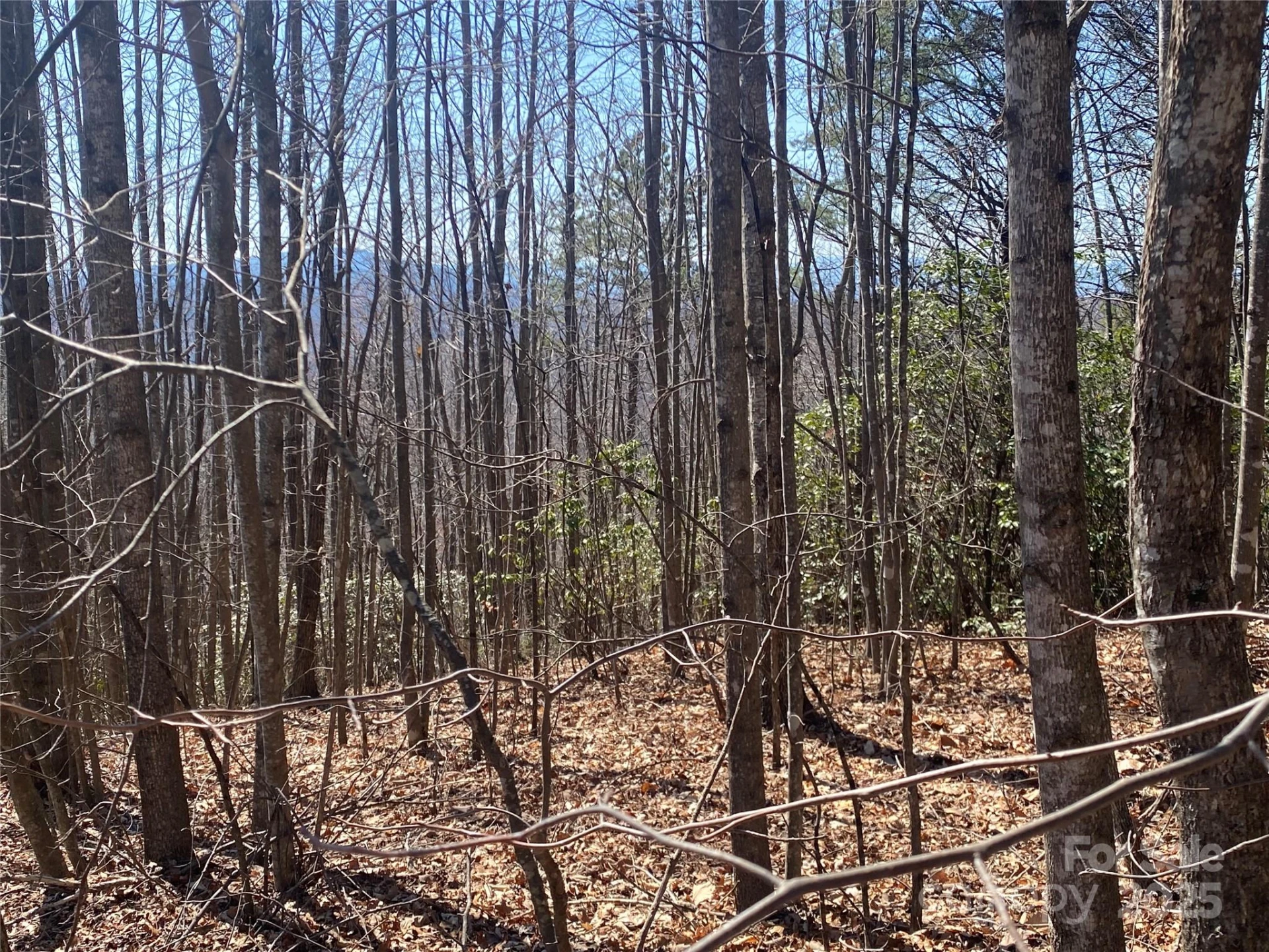 Lot 72 Mountain Crest Drive S - Photo 4