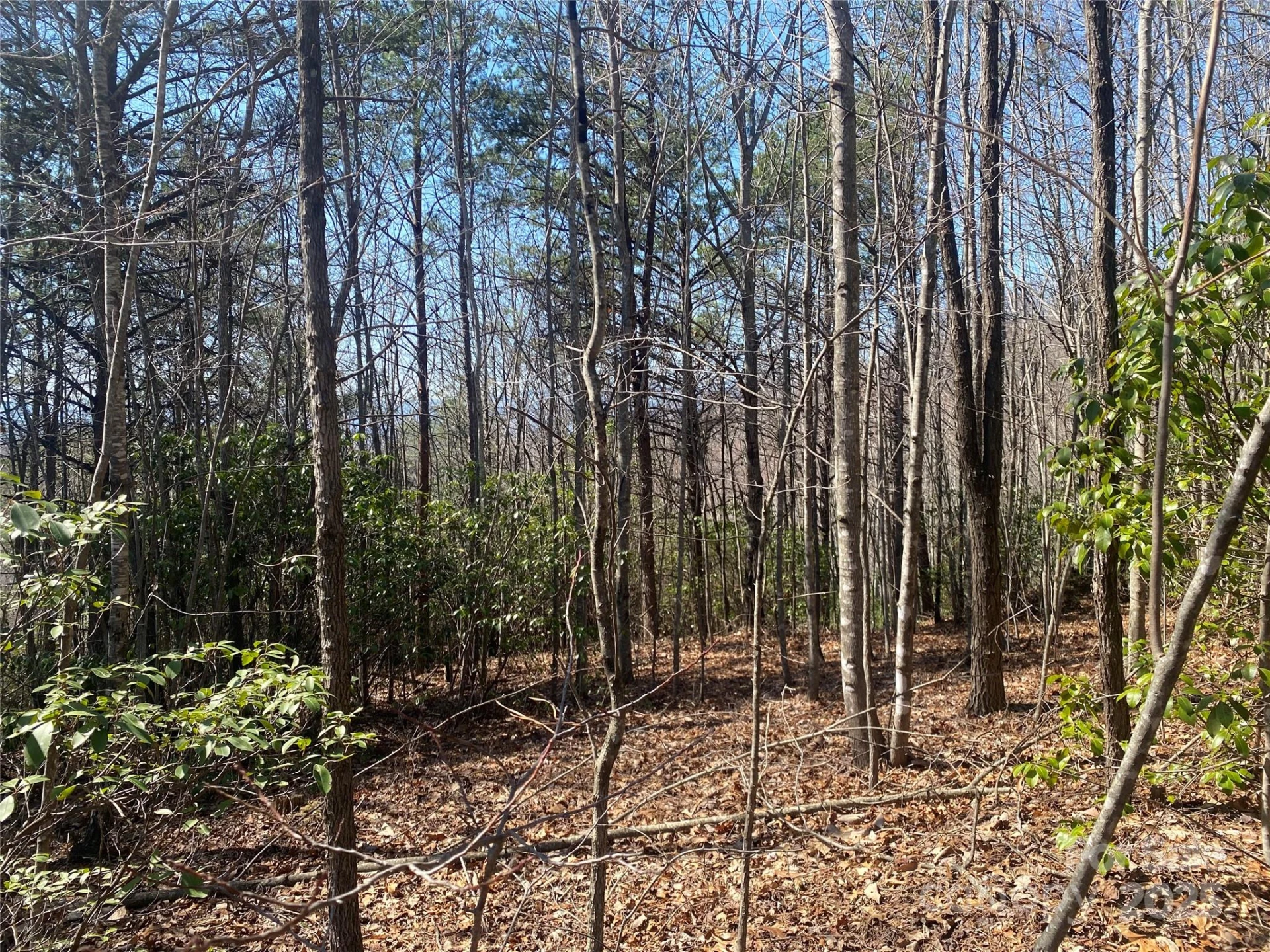 Lot 72 Mountain Crest Drive S - Photo 5
