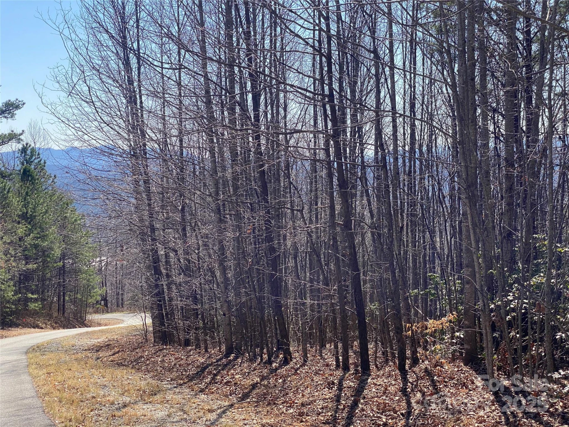 Lot 72 Mountain Crest Drive S - Photo 6