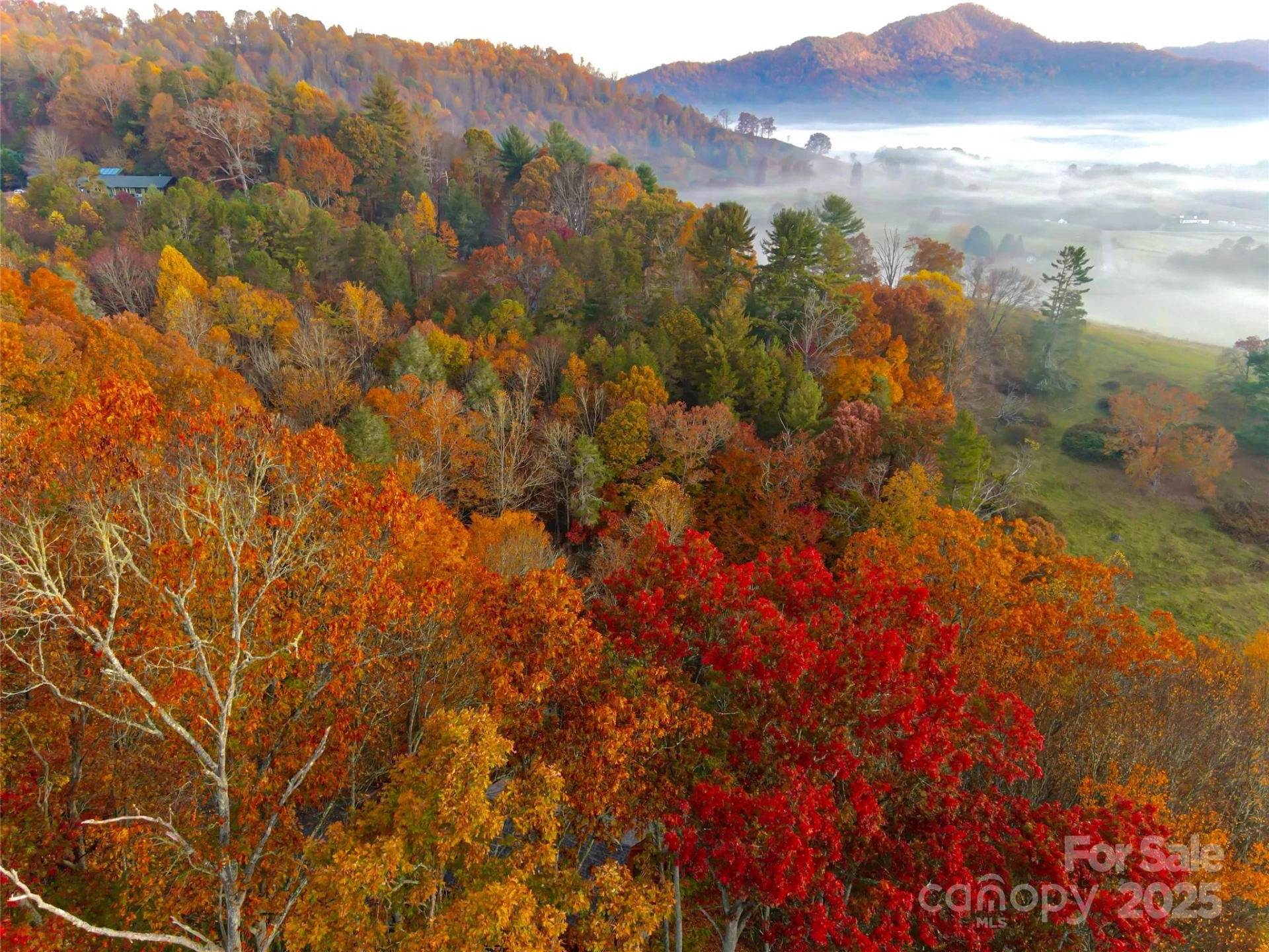 999 Coyote Hollow Road #39