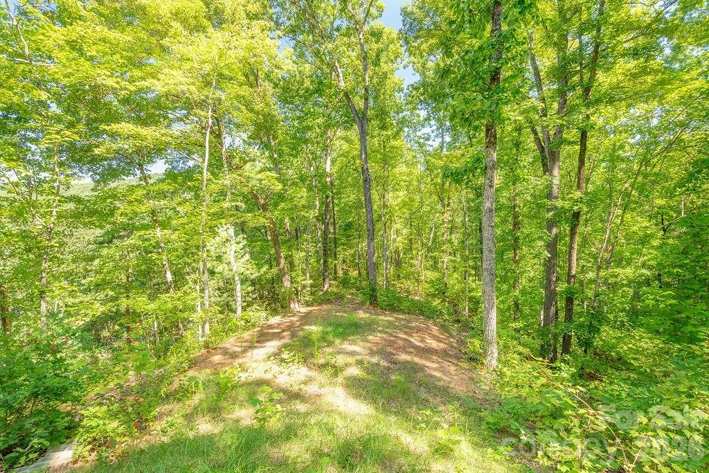 145 Mountain Forest Drive - Photo 29