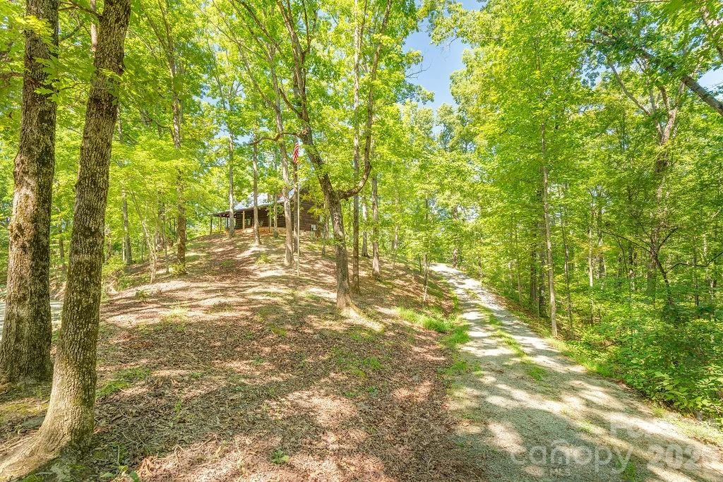 145 Mountain Forest Drive - Photo 30