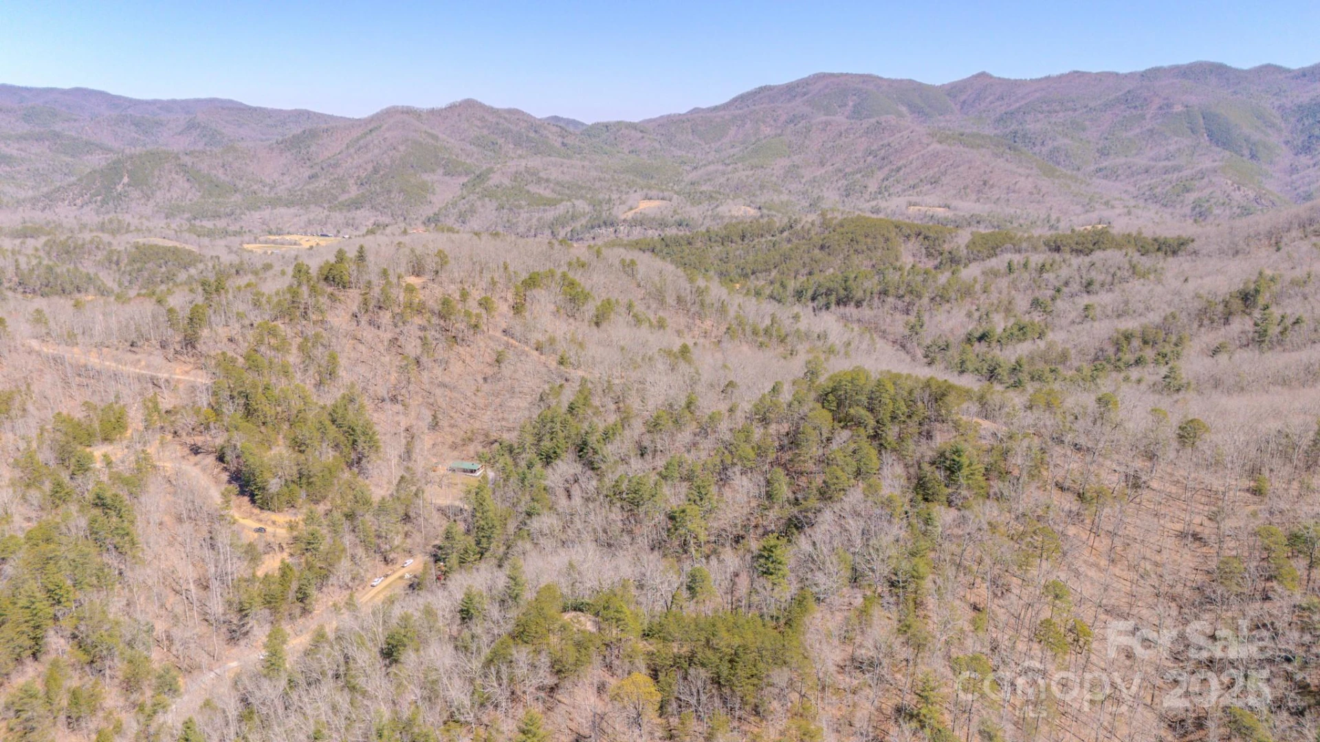 TBD Plum Tree Holler Drive - Photo 3