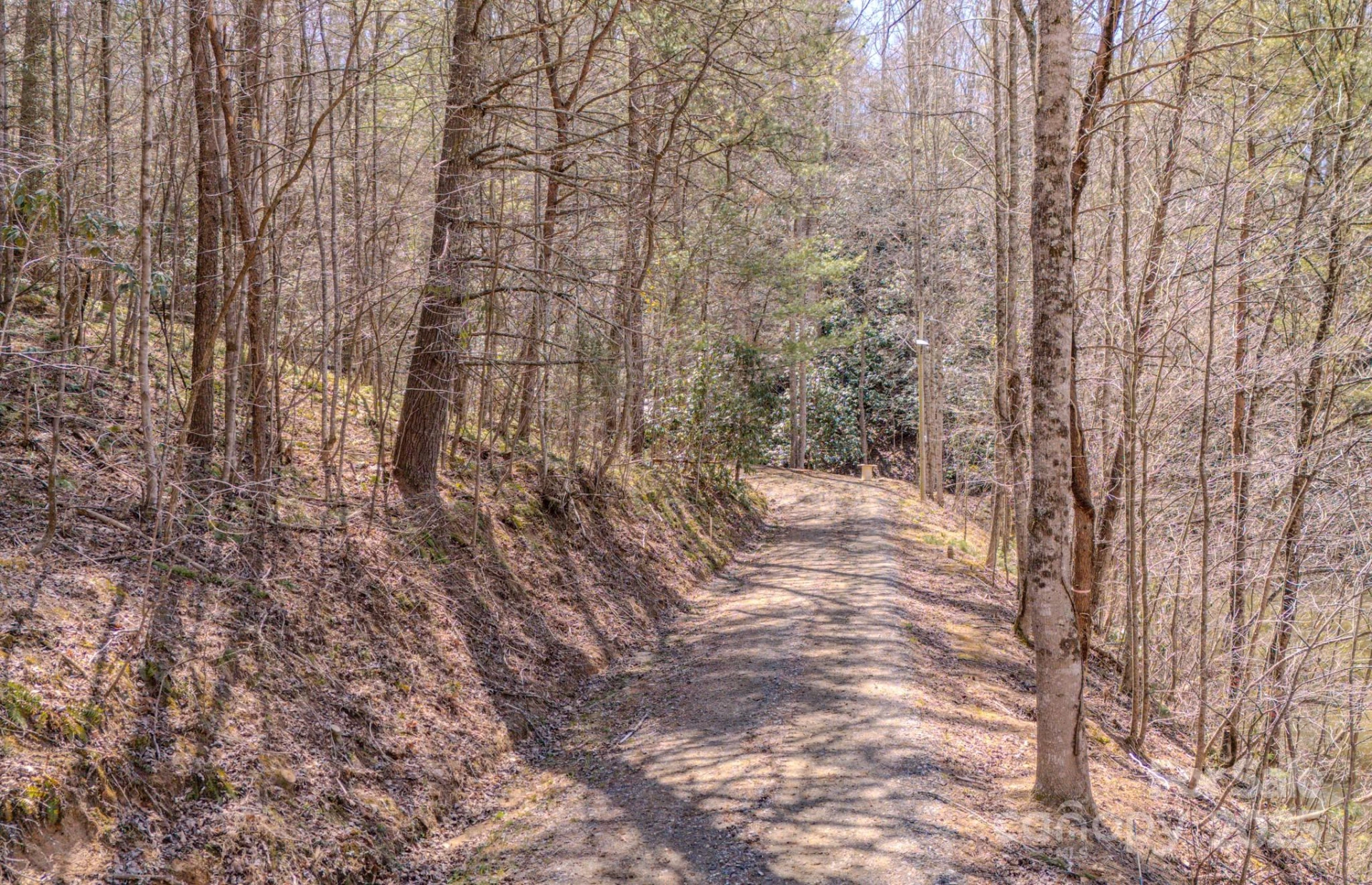 TBD Plum Tree Holler Drive - Photo 8