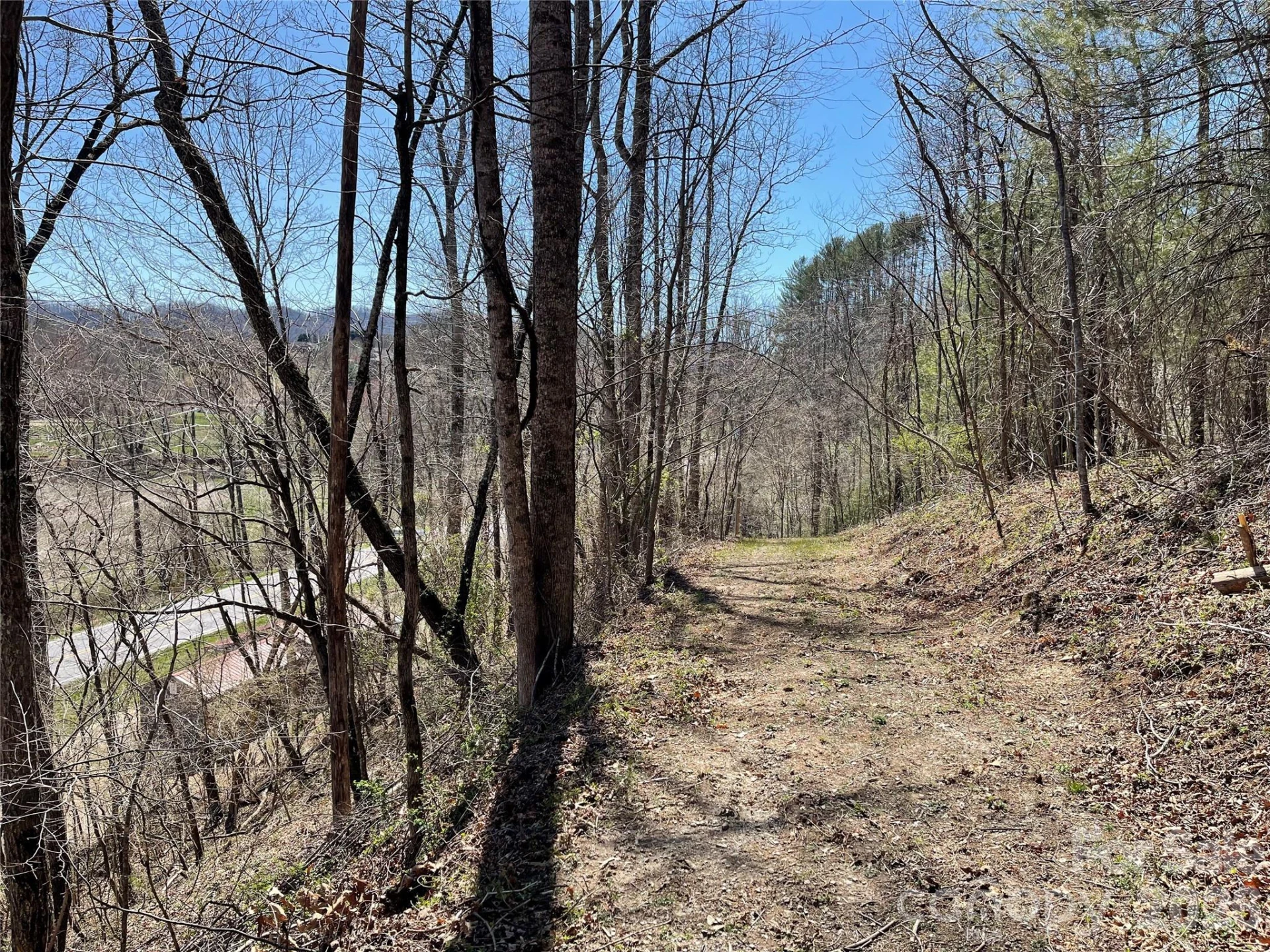1961 Cane Creek Road - Photo 4