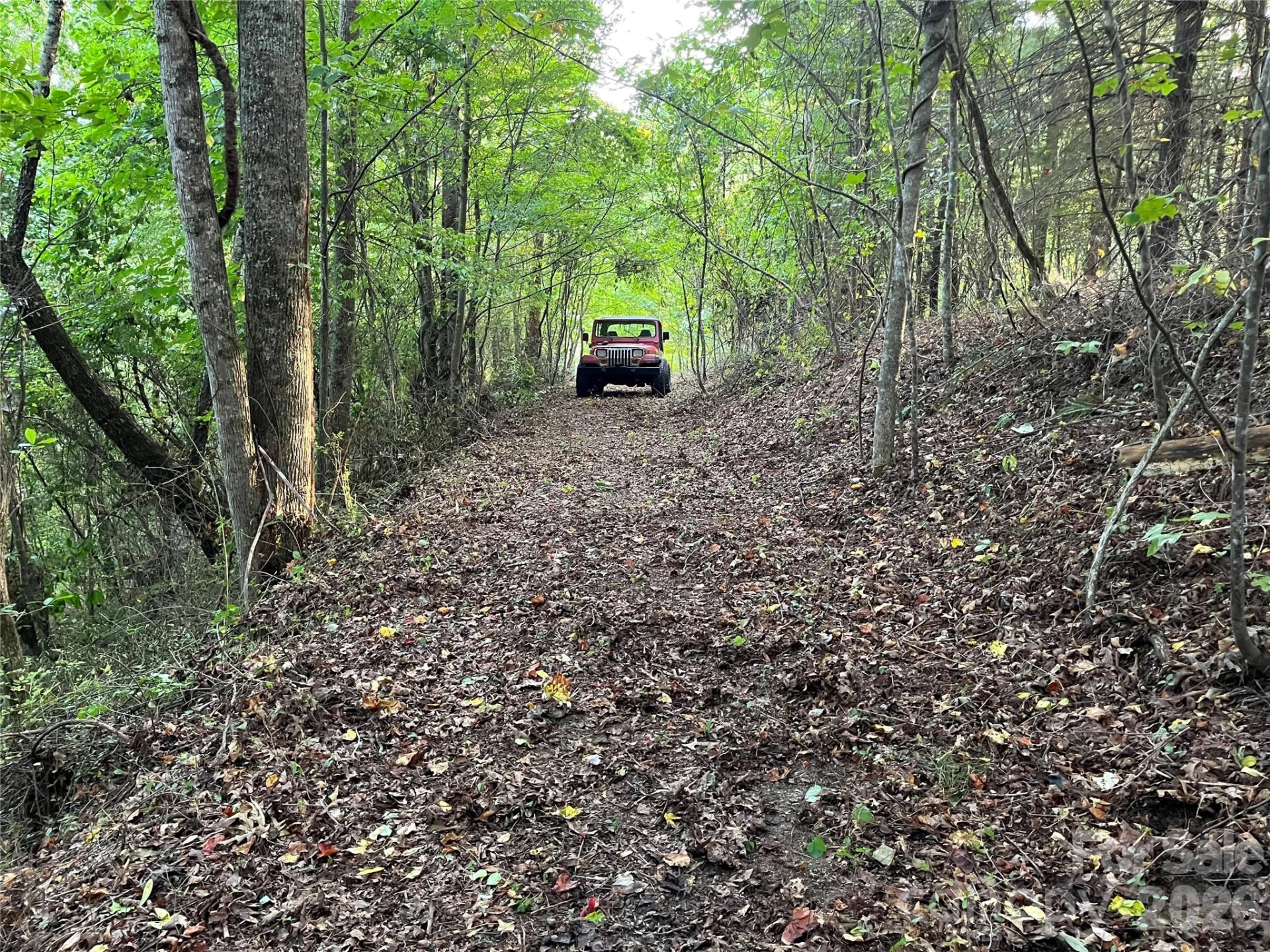 1961 Cane Creek Road - Photo 6
