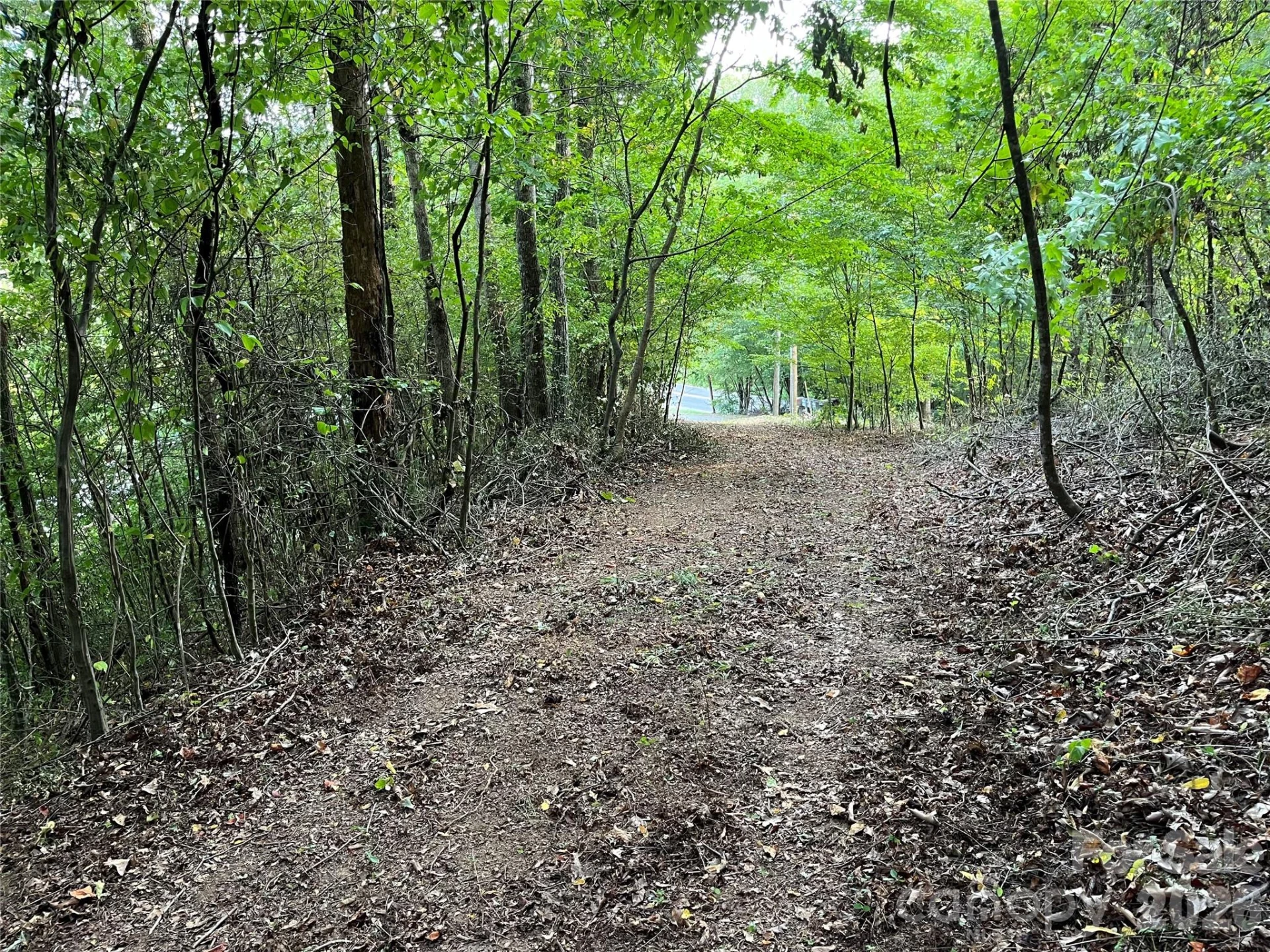 1961 Cane Creek Road - Photo 23