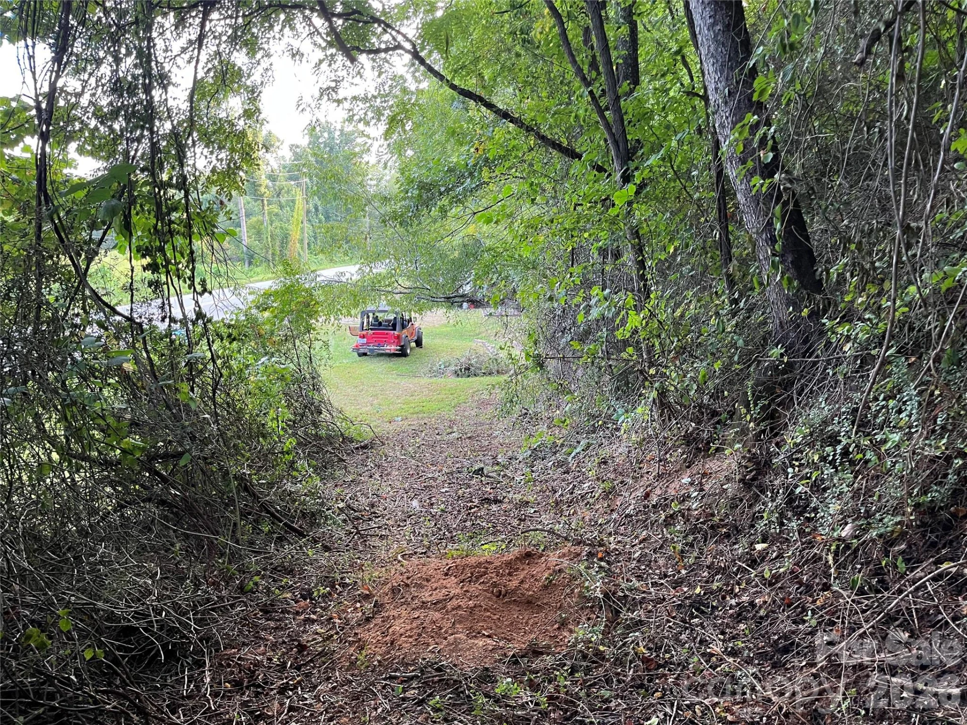 1961 Cane Creek Road - Photo 24